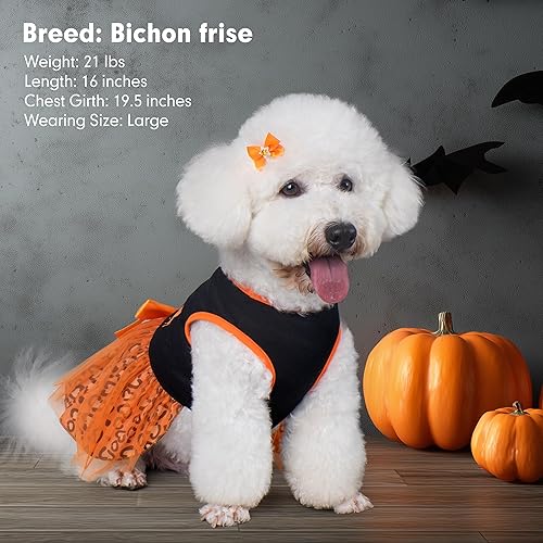Miniatura 2 de cyeollo Vestido de Halloween para perros, ropa de fiesta de Halloween, lindo estampado de leopardo, calabaza, vestido de tul para perros pequeños