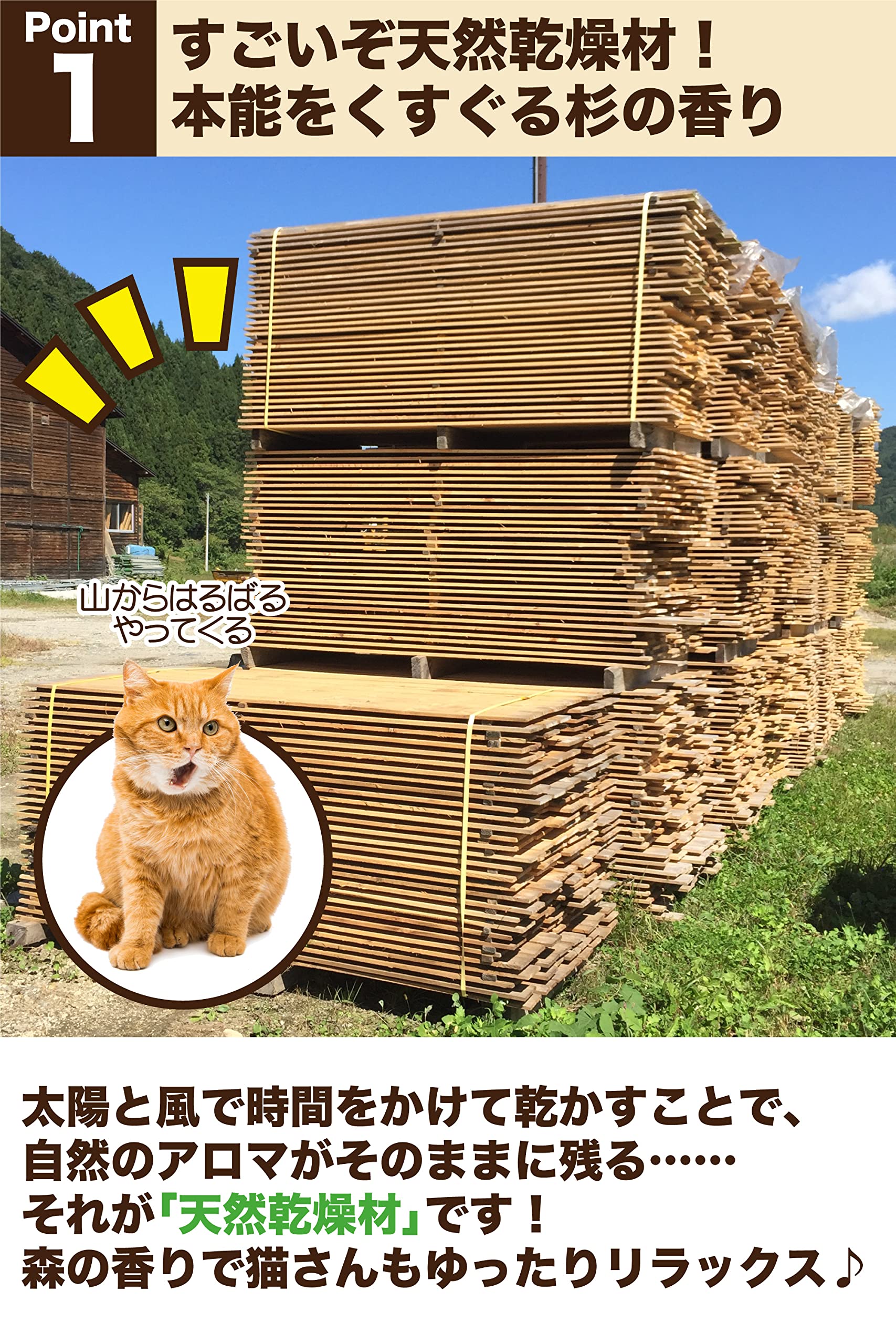 Amazon | ねこの爪とぎ 杉にゃん【猫寿命30歳を目指すフルオーガニック