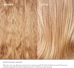 Olaplex No. 4 Shampooing d'entretien des obligations, réparations, renforcements, & Nourrit tous les types de cheveux, ajoute le brillant & Laisse les cheveux doux, 250ml