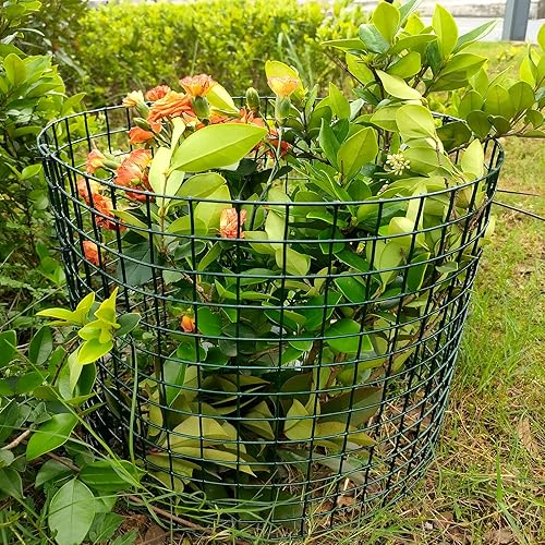 Miniatura 6 de Jaulas de metal para plantas, paquete de 5 protectores de plantas de animales, jaulas de metal para mantener a los animales fuera, protección de