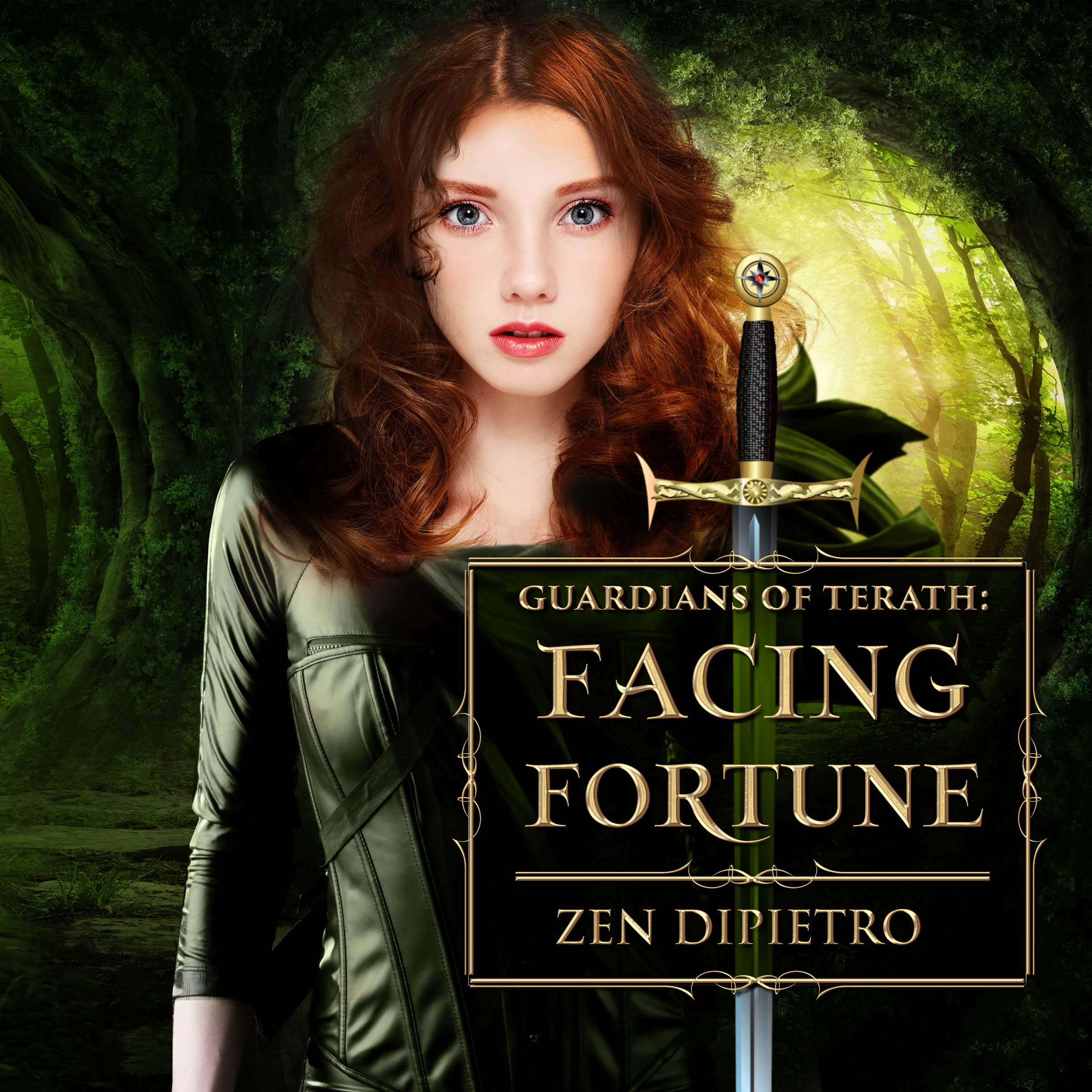 Cover art for Facing Fortune