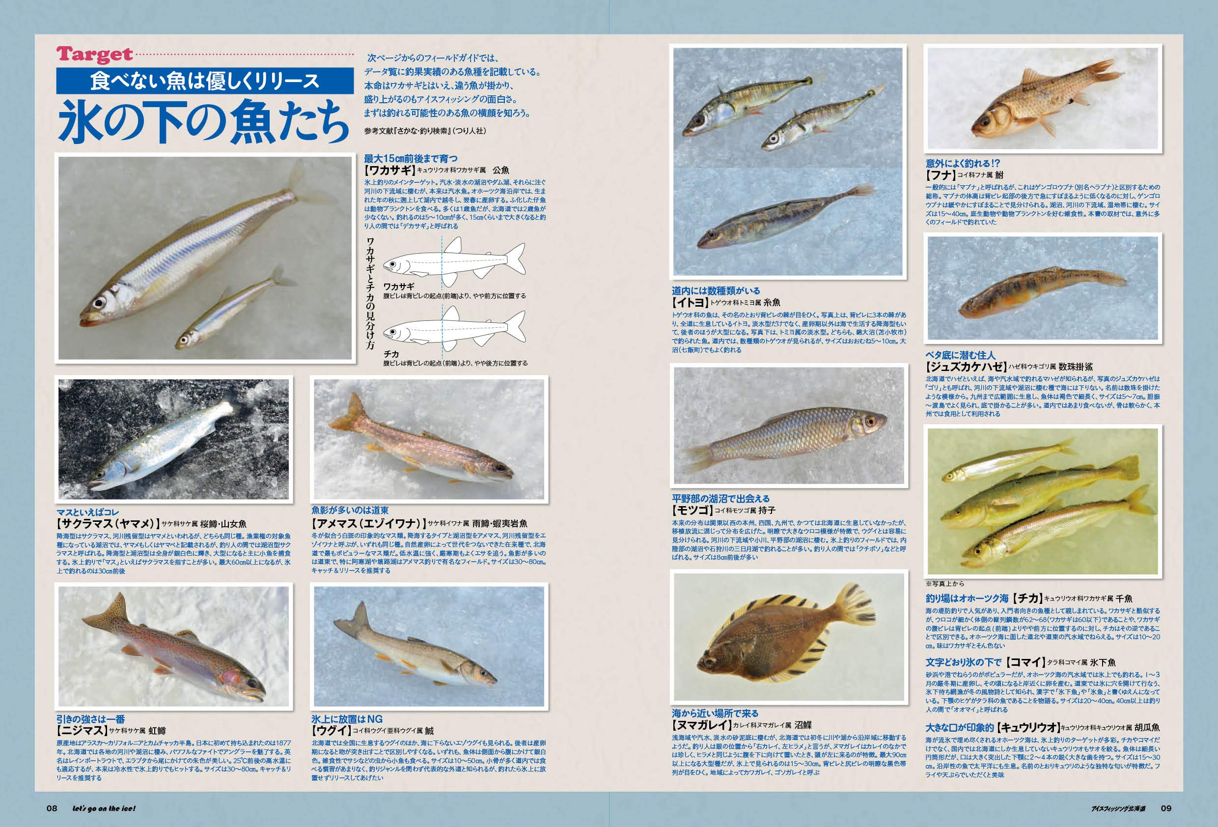 アイスフィッシング北海道 North Angler S Collection つり人社北海道支社 本 通販 Amazon