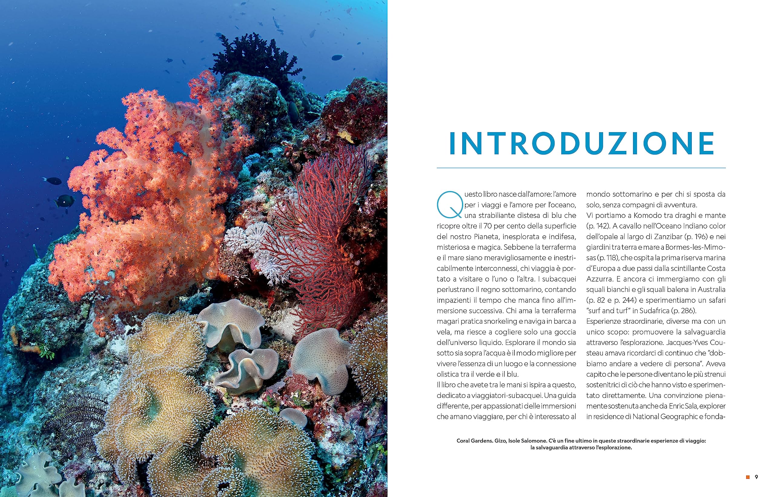 Guida completa per subacquei. Le migliori immersioni del mondo e incredibili esperienze sopra e sotto la superficie del mare. Ediz. a colori