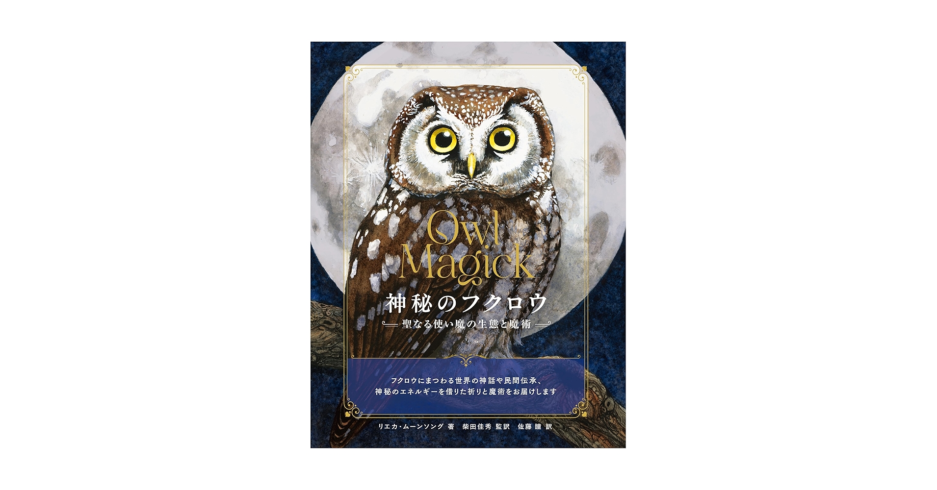 Amazon.co.jp: 神秘のフクロウ 聖なる使い魔の生態と魔術 : リエカ Amazon.co.jp: 神秘のフクロウ 聖なる使い魔の生態と魔術 : リエカ