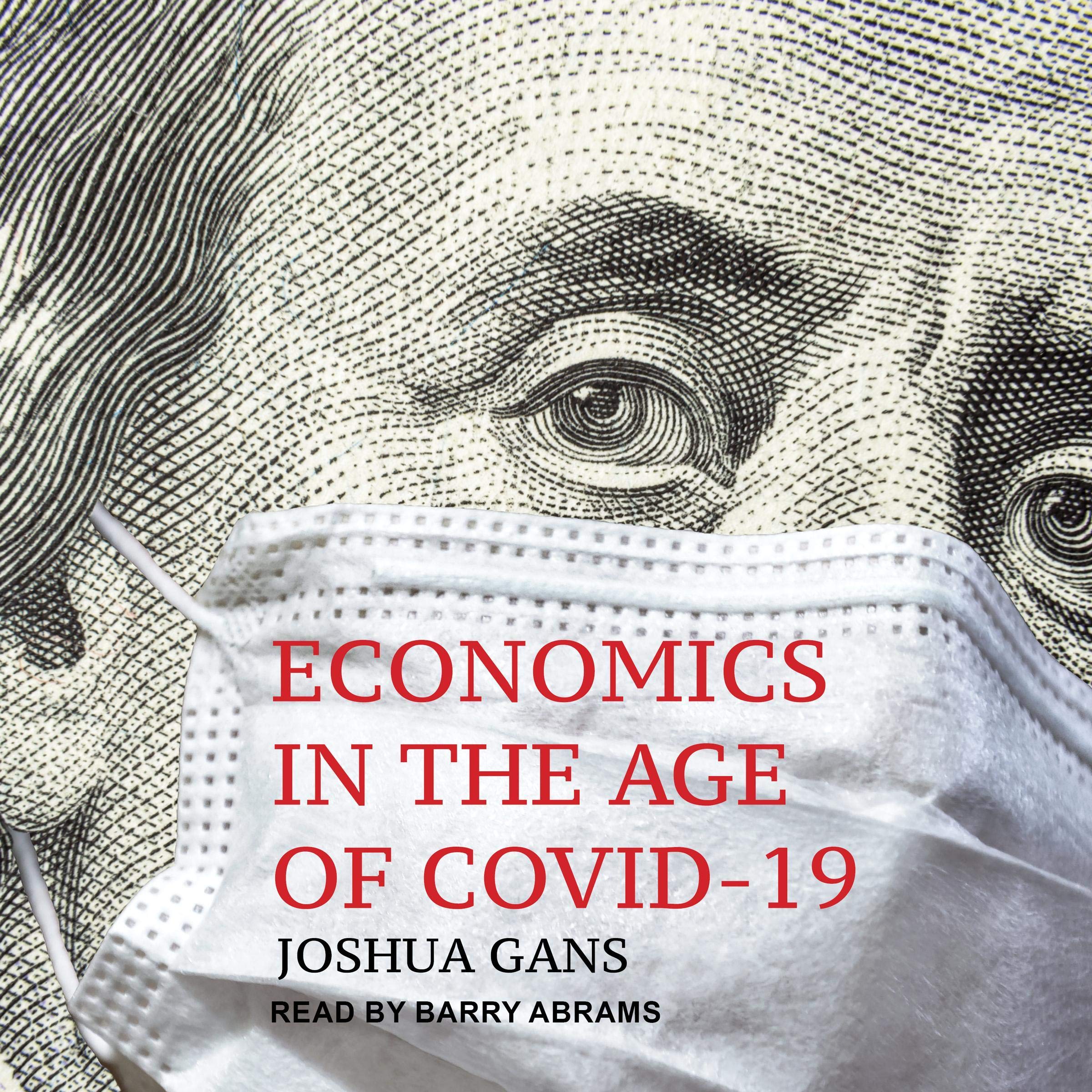 Cover art for Economics in the Age of COVID-19