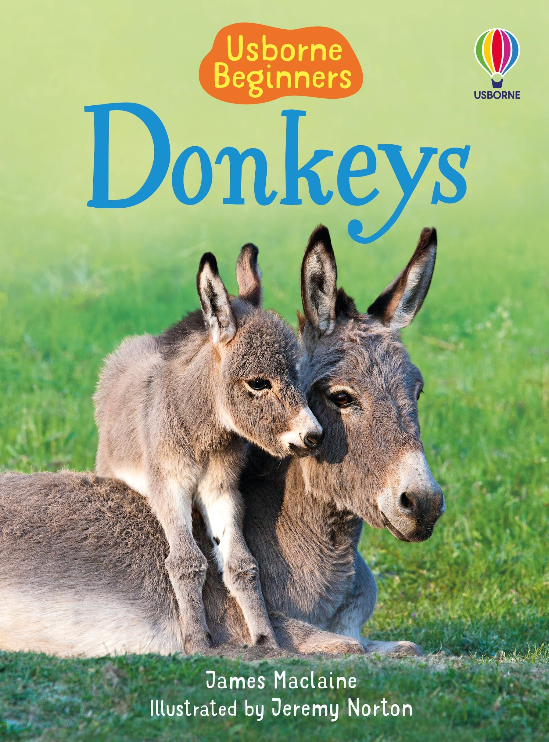 Donkeys by James Maclaine (Hardback Book)