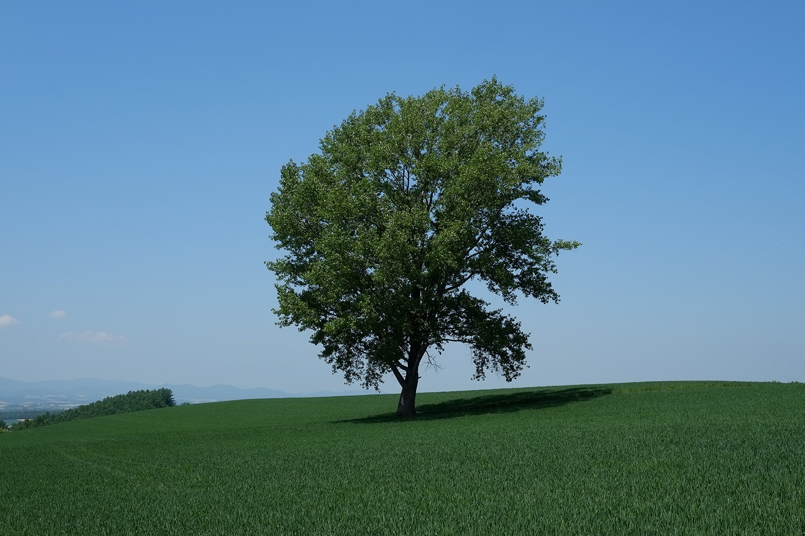 【美品】FUJIFILM XFレンズ XF27mm F2.8 単焦点 広角 Amazon | FUJIFILM XFレンズ FUJINON XF27mm F2.8 単焦点 広角 F