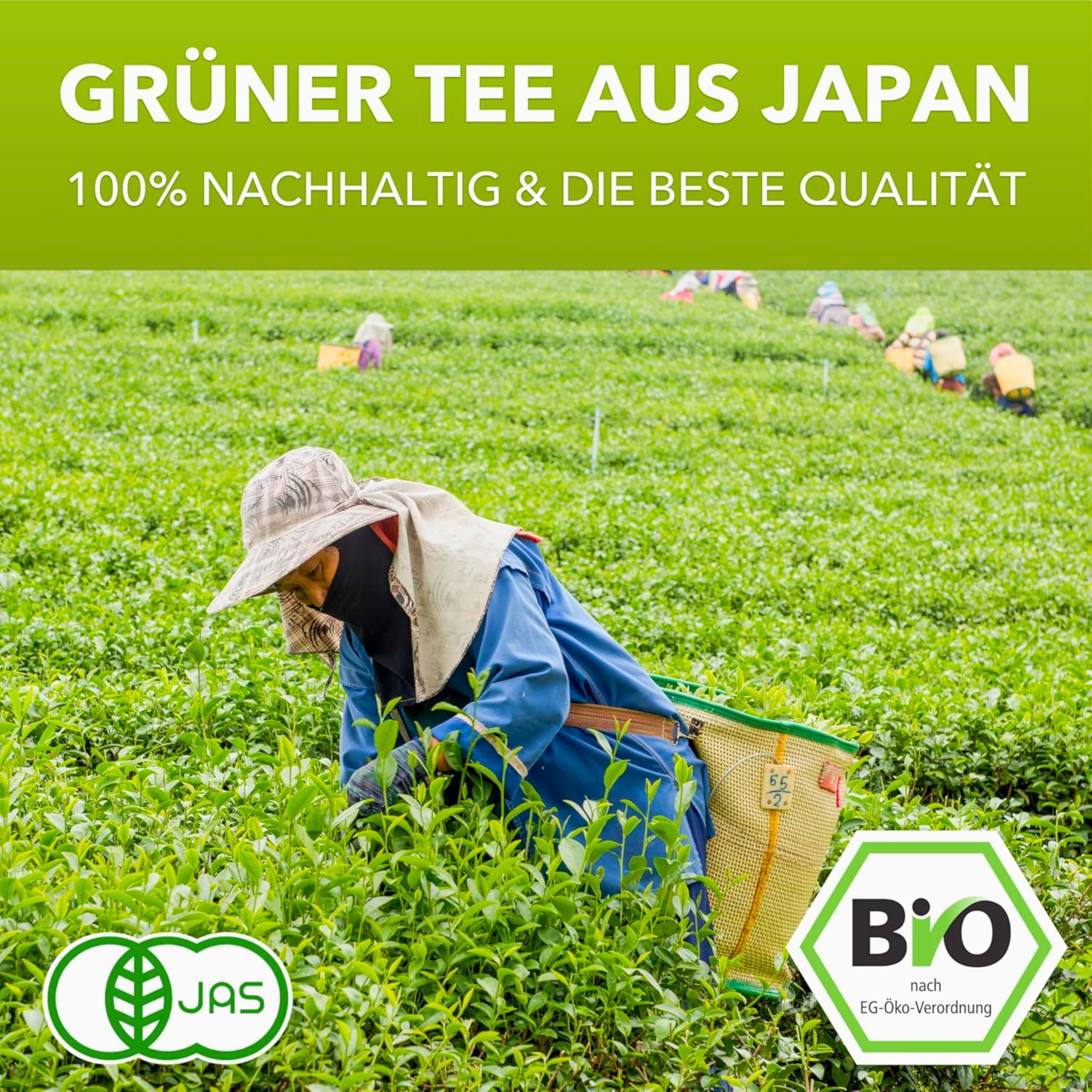 MatchaMagic Tenno Bio Matcha Pulver 30 g - Single Origin Matcha aus Japan | Grüner Tee, Ceremonial Grade, Matcha Tee, für Tee-Zeremonie, traditionelle Herstellung, handgepflückt, Premium Matcha Tee