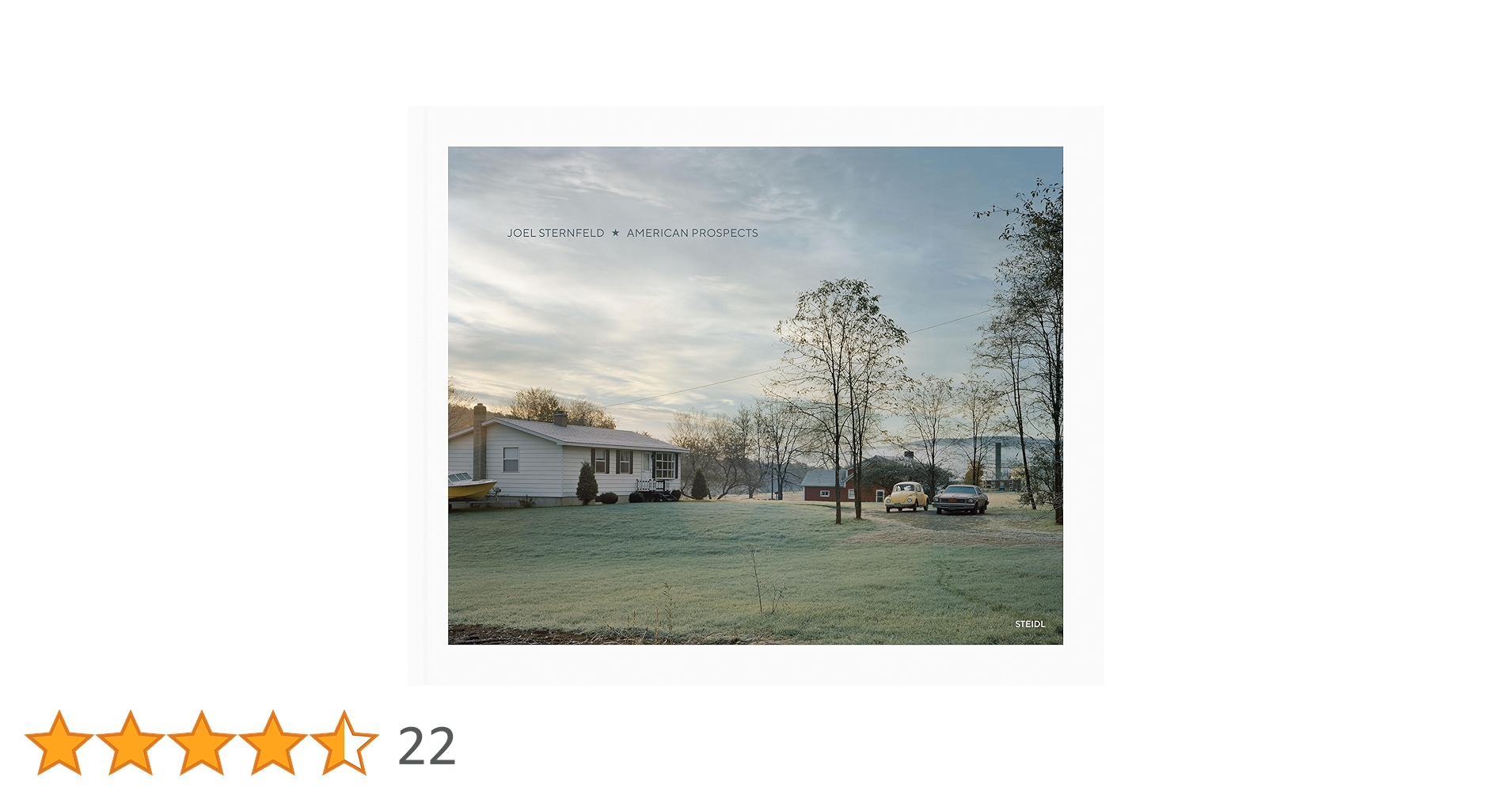新品　American Prospects Joel sternfeld 写真集 American Prospects Joel sternfeld 写真集 Joel Sternfeld