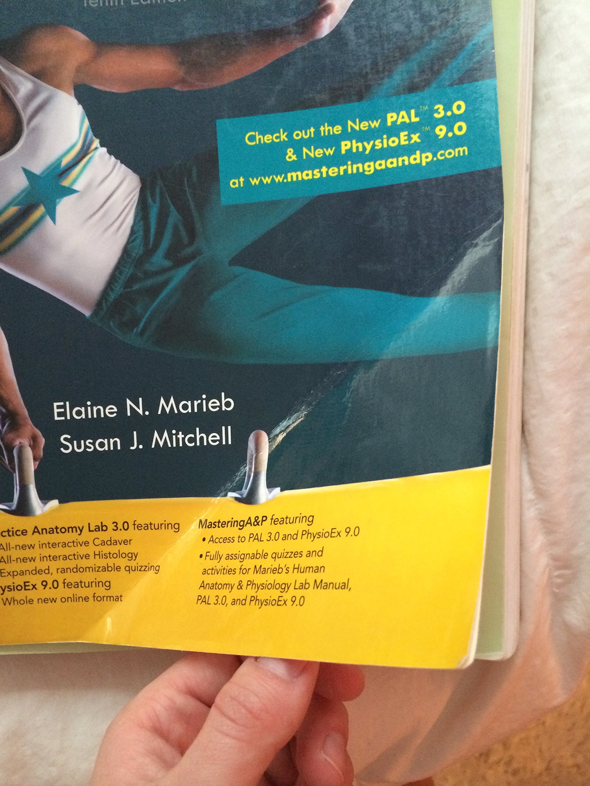 Human Anatomy & Physiology: Cat Version - Image 3