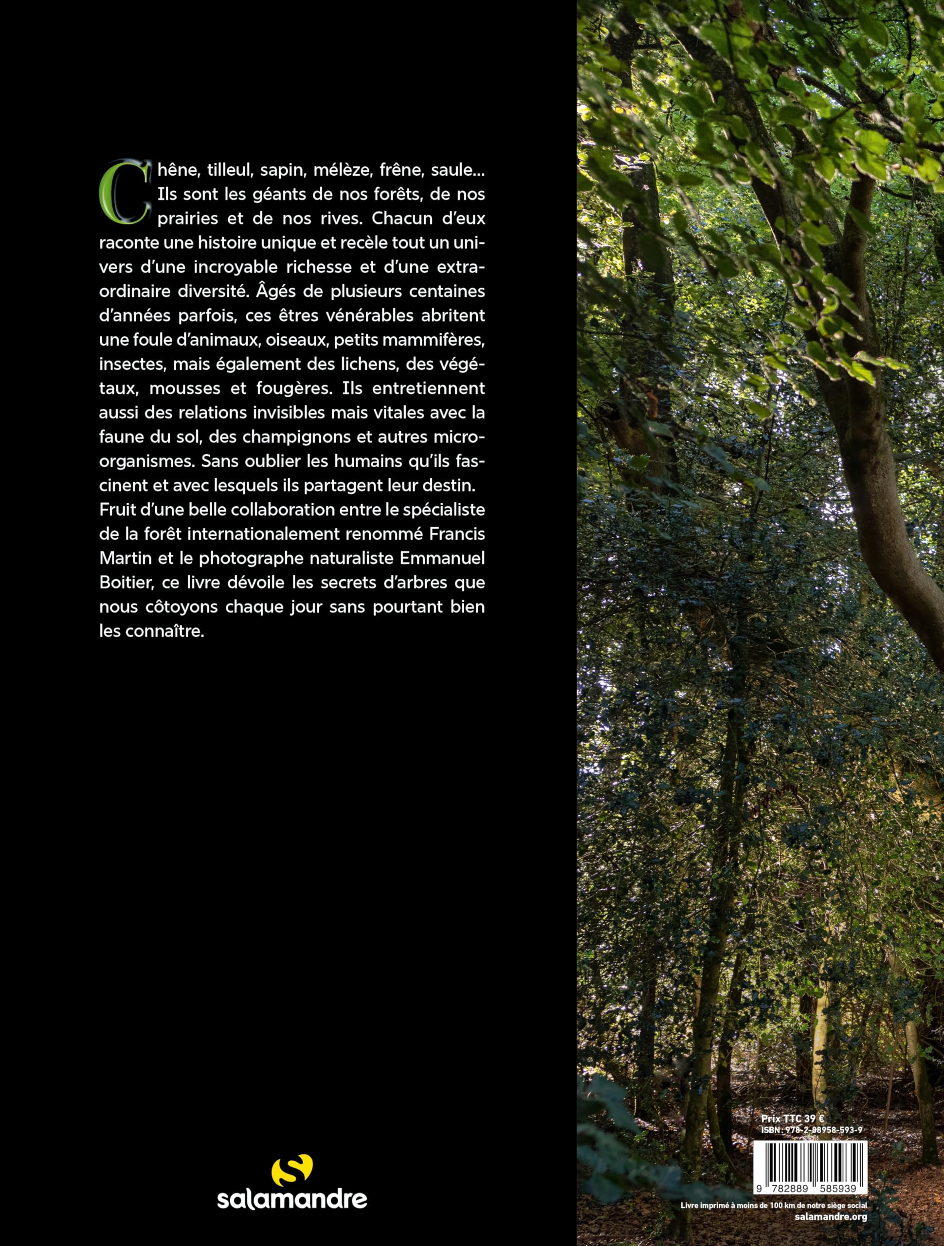 Arbres, secrets de géants