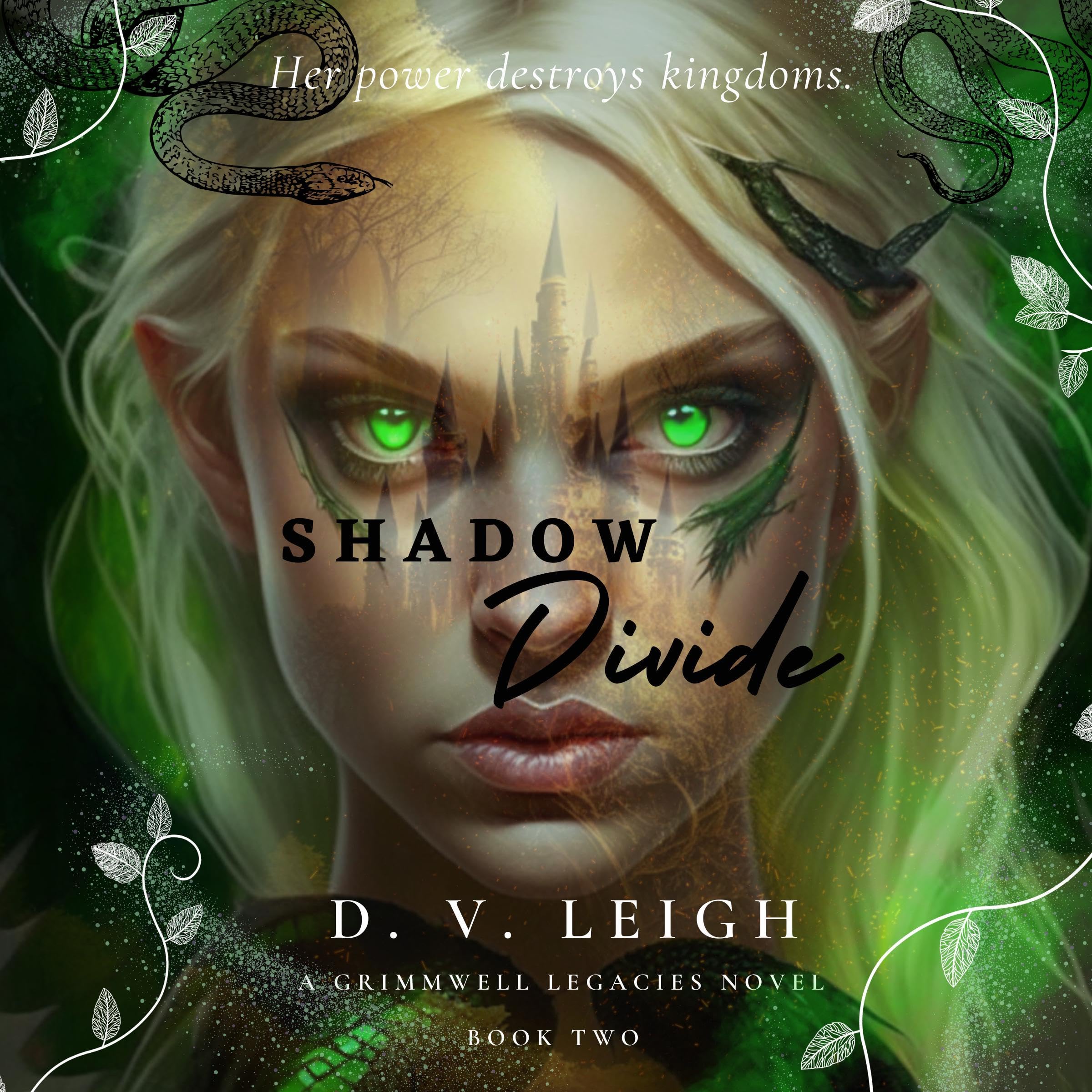 Cover art for Shadow Divide