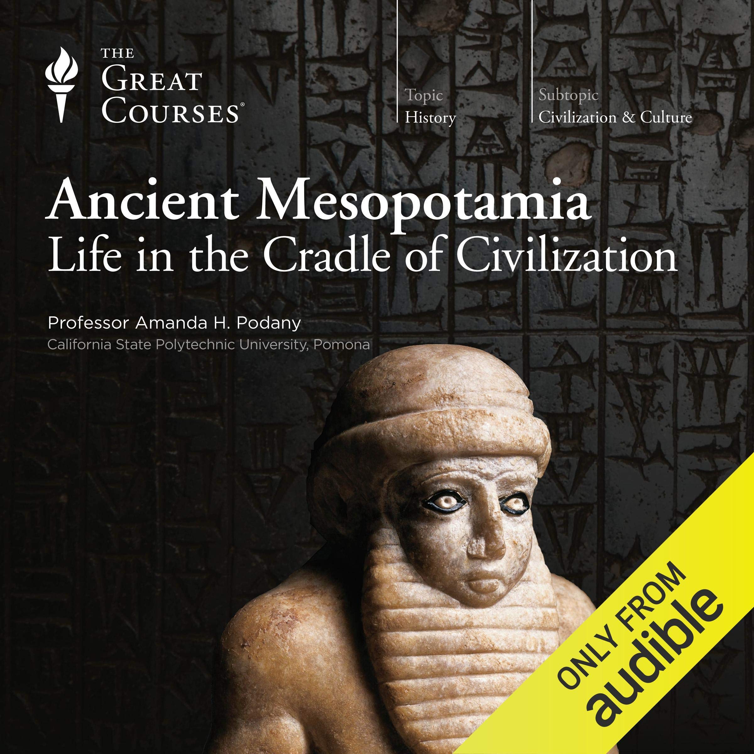 Cover art for Ancient Mesopotamia