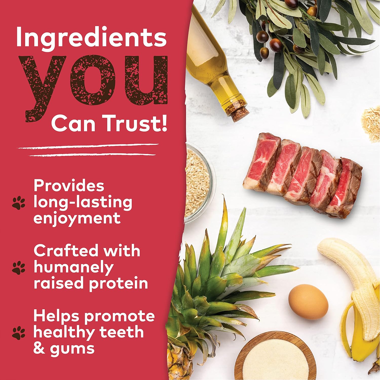 EARTH ANIMAL No Hide Small Beef Flavored Natural Rawhide Free Dog Chews Long Lasting Dog Chews | Dog Treats for Small Dogs | Great Dog Chews for Aggressive Chewers (1 Pack)