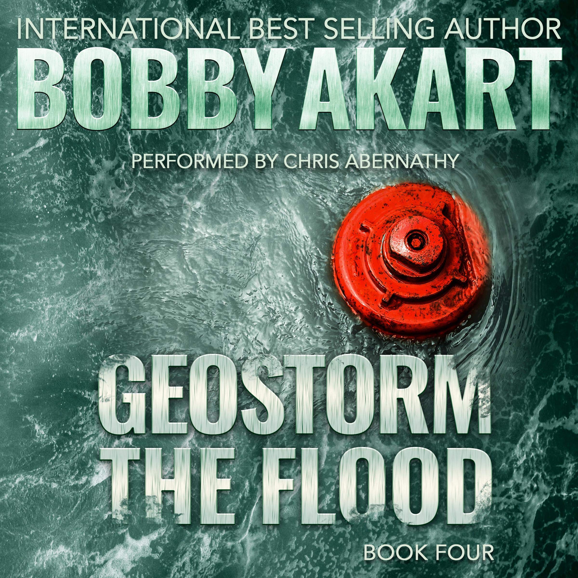 Cover art for Geostorm the Flood: A Post Apocalyptic EMP Survival Thriller