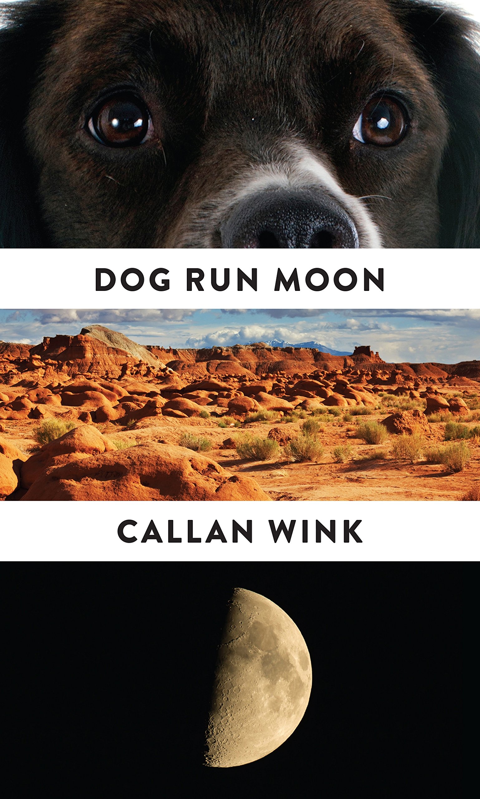 Dog Run Moon: Stories.by Wink  New 9781847088147 Fast Free Shipping**