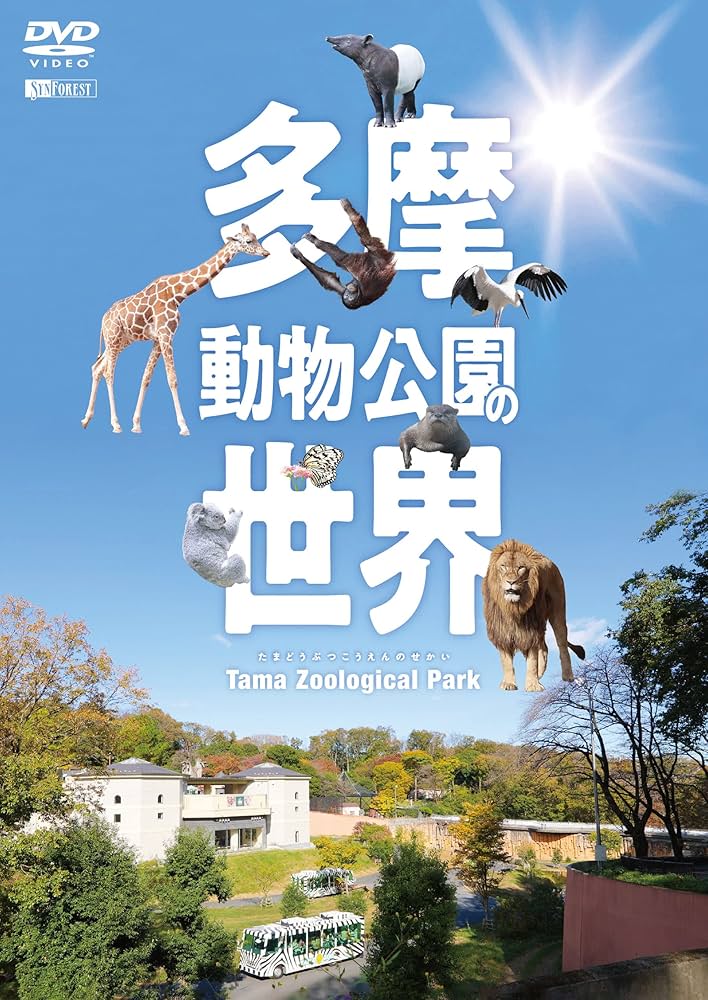 笑う動物たち EMMA 笑う センサー オランウータン ぬいぐるみ : サファリ