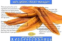 Vista 4 de GERBS rodajas de mango disecadas dulces 4 libras. Sin sulfuro, sin aditivos artificiales, bolsa resellable Naturalmente masticables y dulces