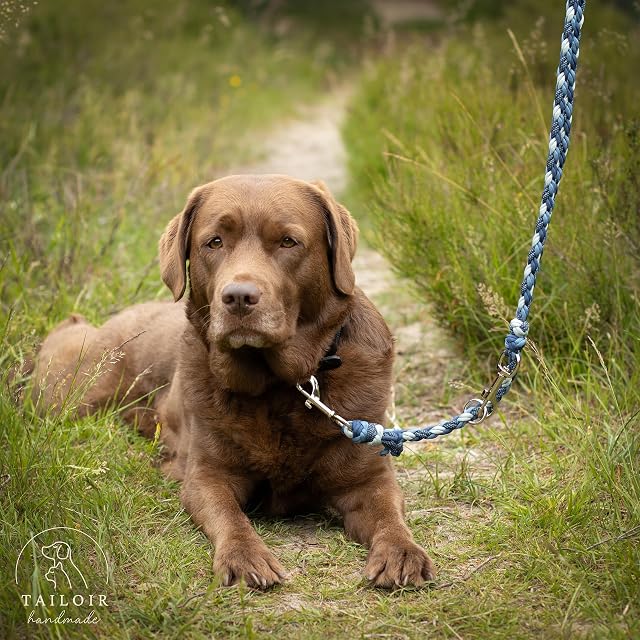Foto 5 de 8 de Tailoir Correa Perro 2 Metros - Correa para Perros, Correas Perros, Azul