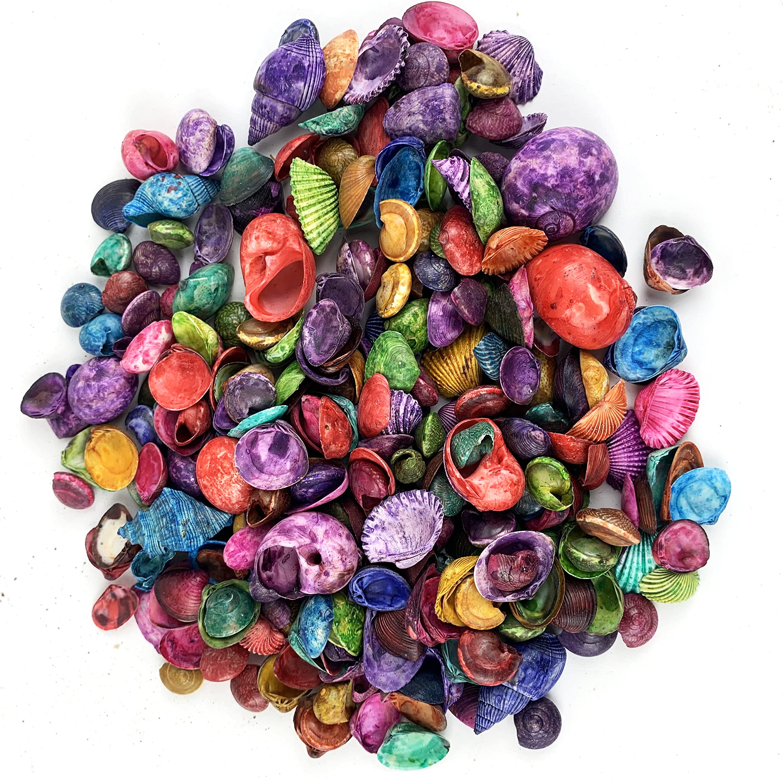 Assorted Dyed Small Indian Sea Shells for Home Party Wedding Decor DIY Crafts Fish Tank and Vase Filler 8OZ Apprx 230+ PC Shells 3/4"~1-1/4"Inch