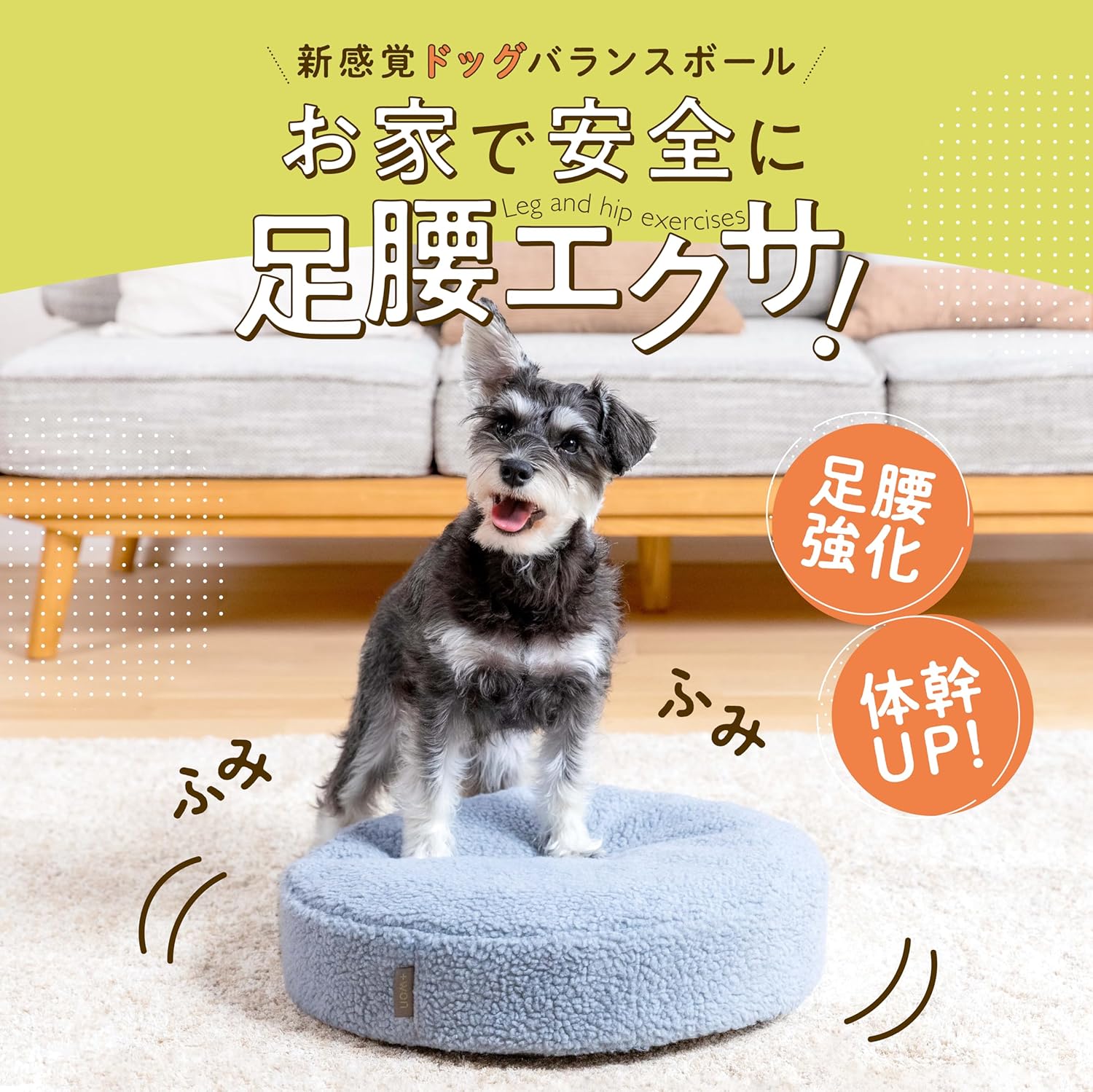 犬のバランスボール No.1