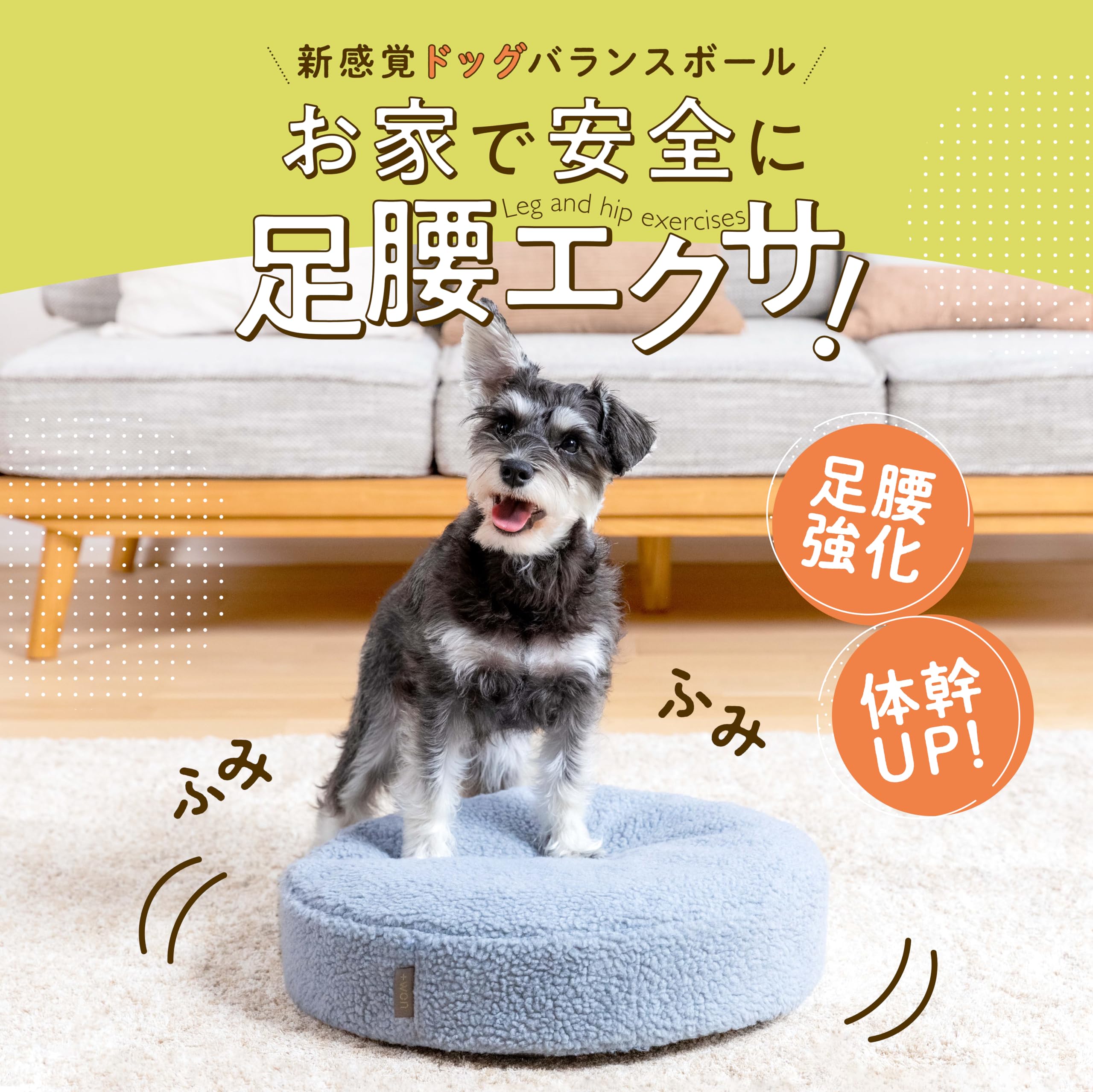 【美品】 バランスドギー +Wan 犬用バランスボール 筋トレ 整体師監修 Amazon | [＋won] [プラスワン]バランスドギー 犬用 バランスボール 筋