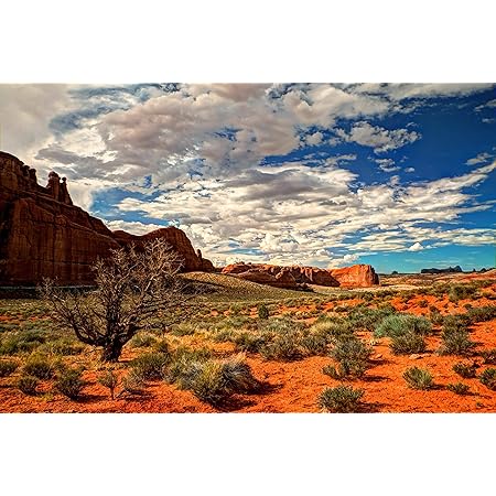 Reptile Habitat Background, PVC Terrarium Background for Amphibian Marine Life, Desert Sky Print Wallpaper Durable Poster Stickers, 36" x 16"