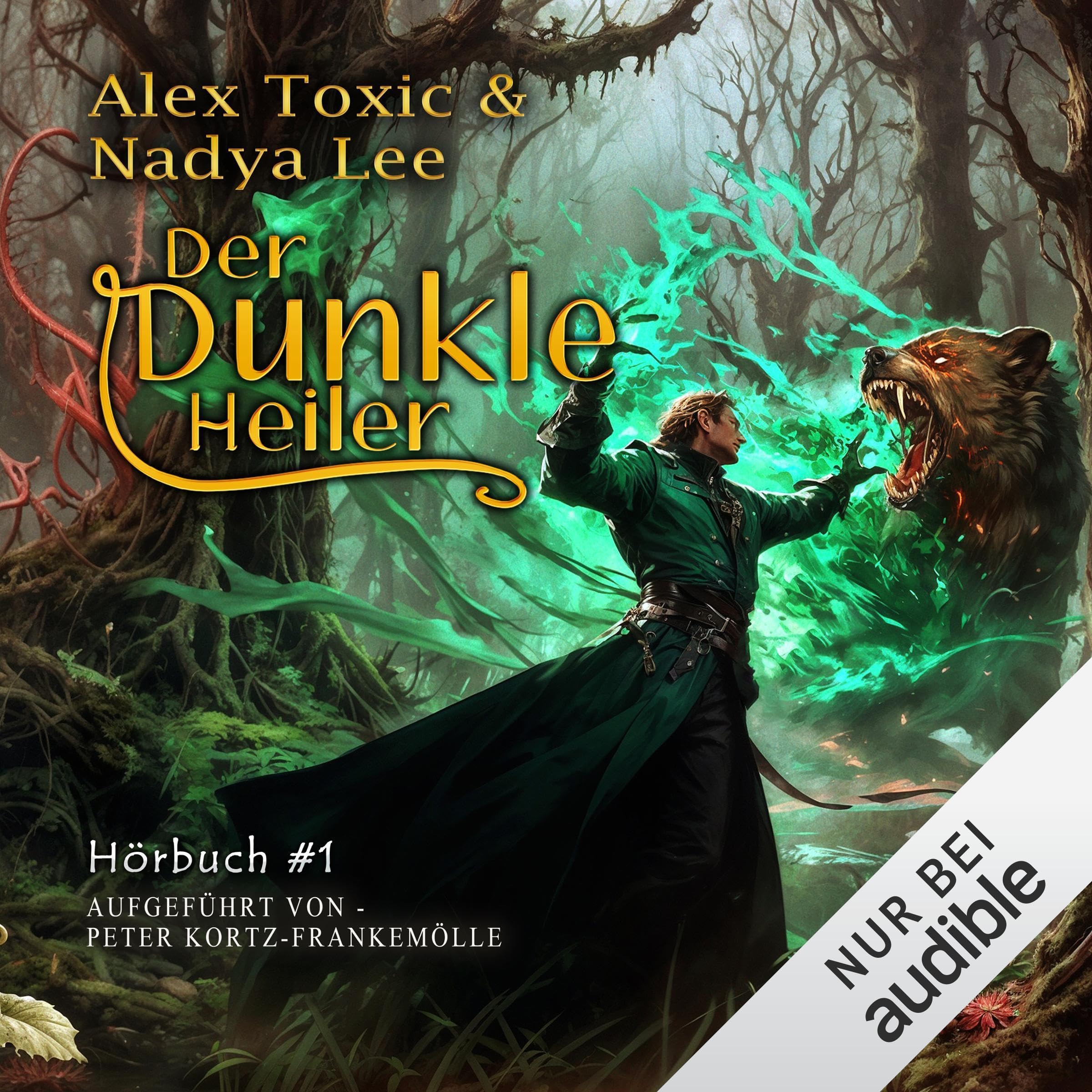 Cover art for Der dunkle Heiler