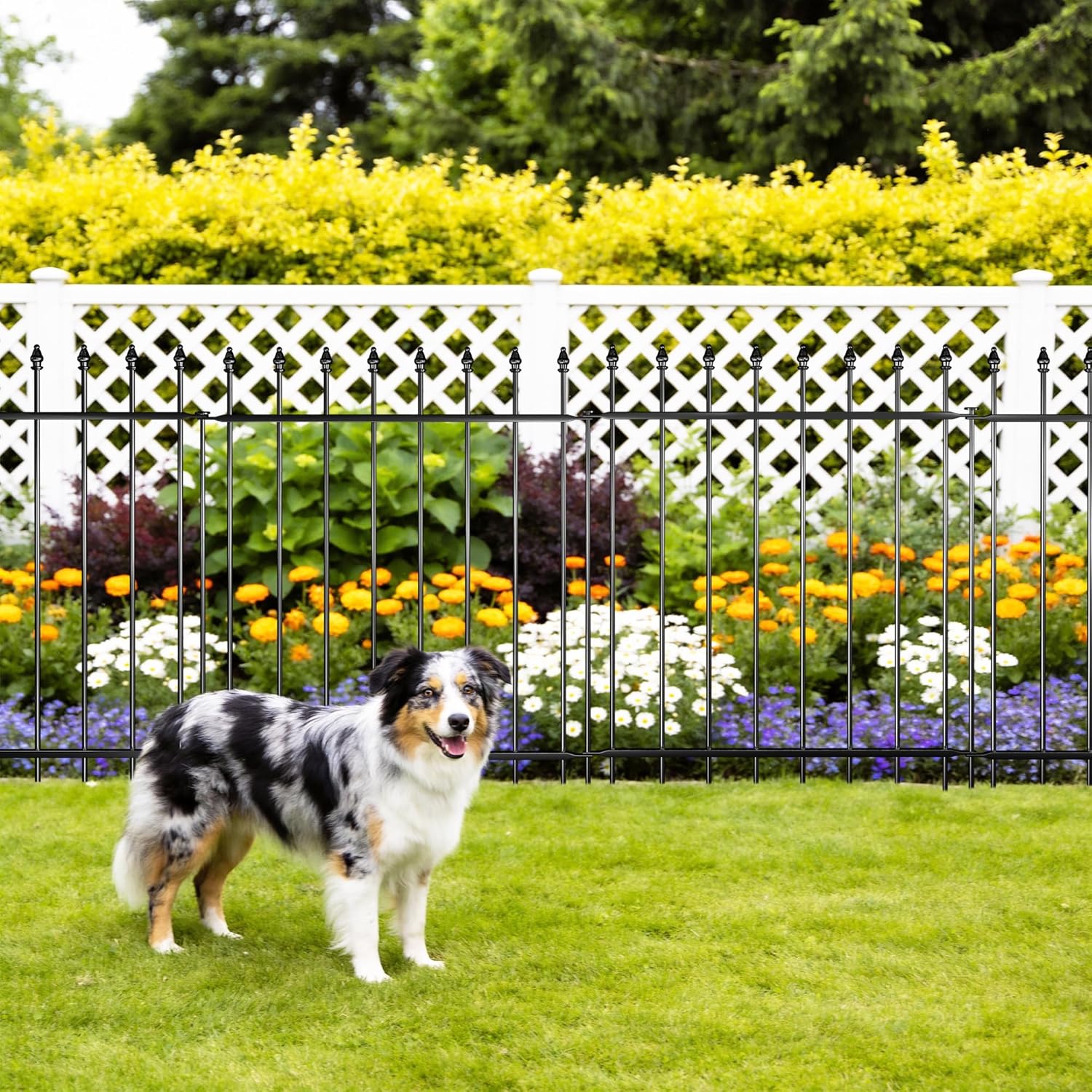 Decorative Metal Garden Fence，(10 Panels+ 11 Posts), Total Iength24 ft(W) x 32 in(H), High Metal Border Fence, Classic Roman Column Decoration, Garden and Lawn Landscape Fence, Black Animal Fence