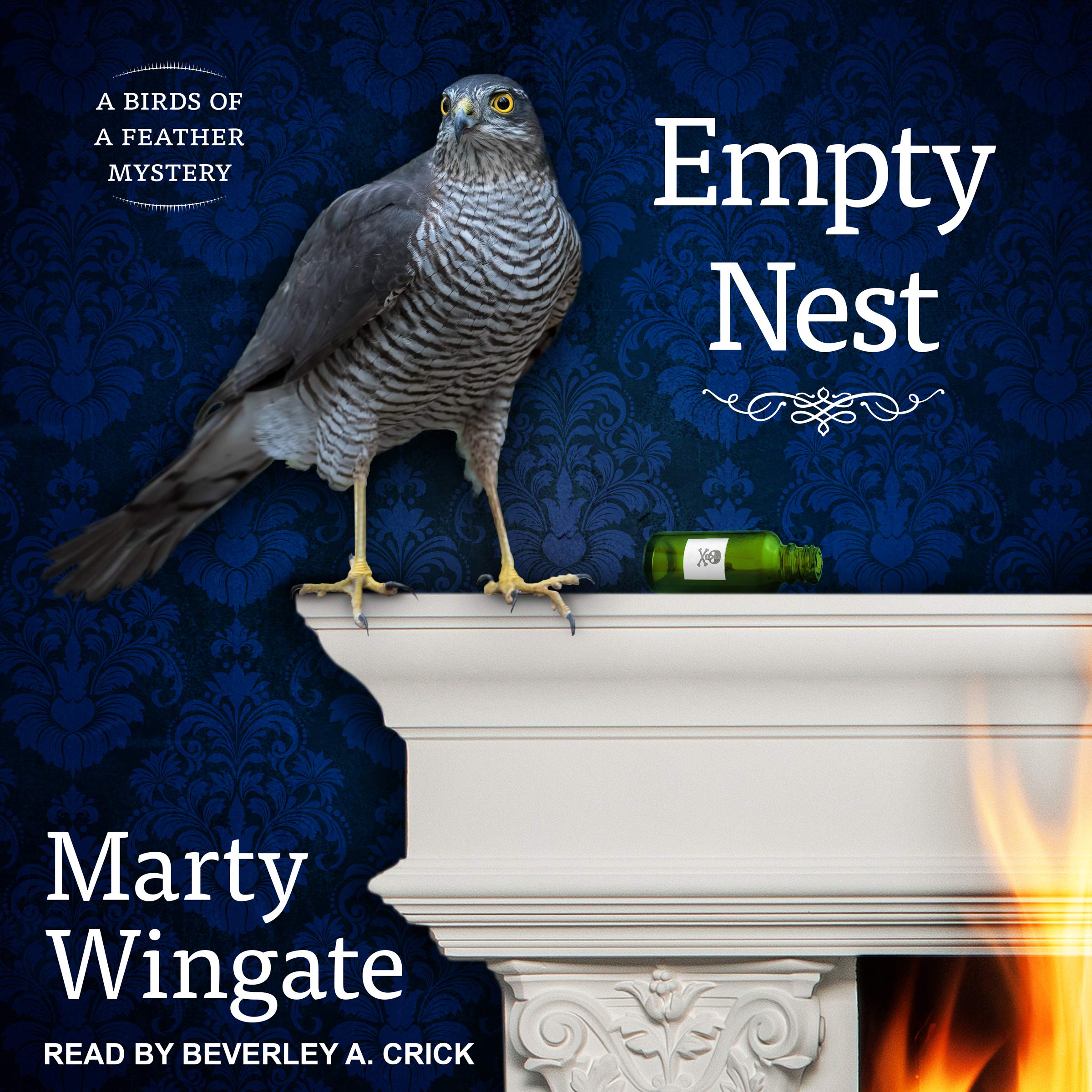 Cover art for Empty Nest