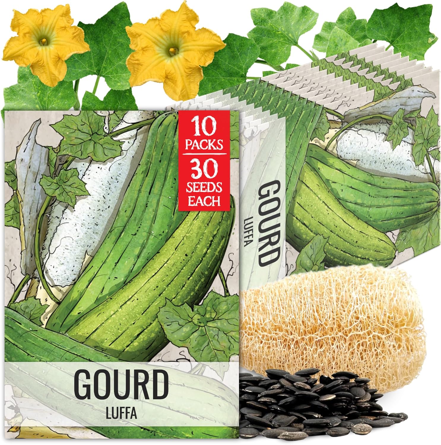 Seed Needs Luffa Seeds for Planting Loofah Sponge Gourds - Non-GMO Heirloom & Untreated Veggie Seed to Plant a Home Grown Outdoor Vegetable Garden (10 Packs)