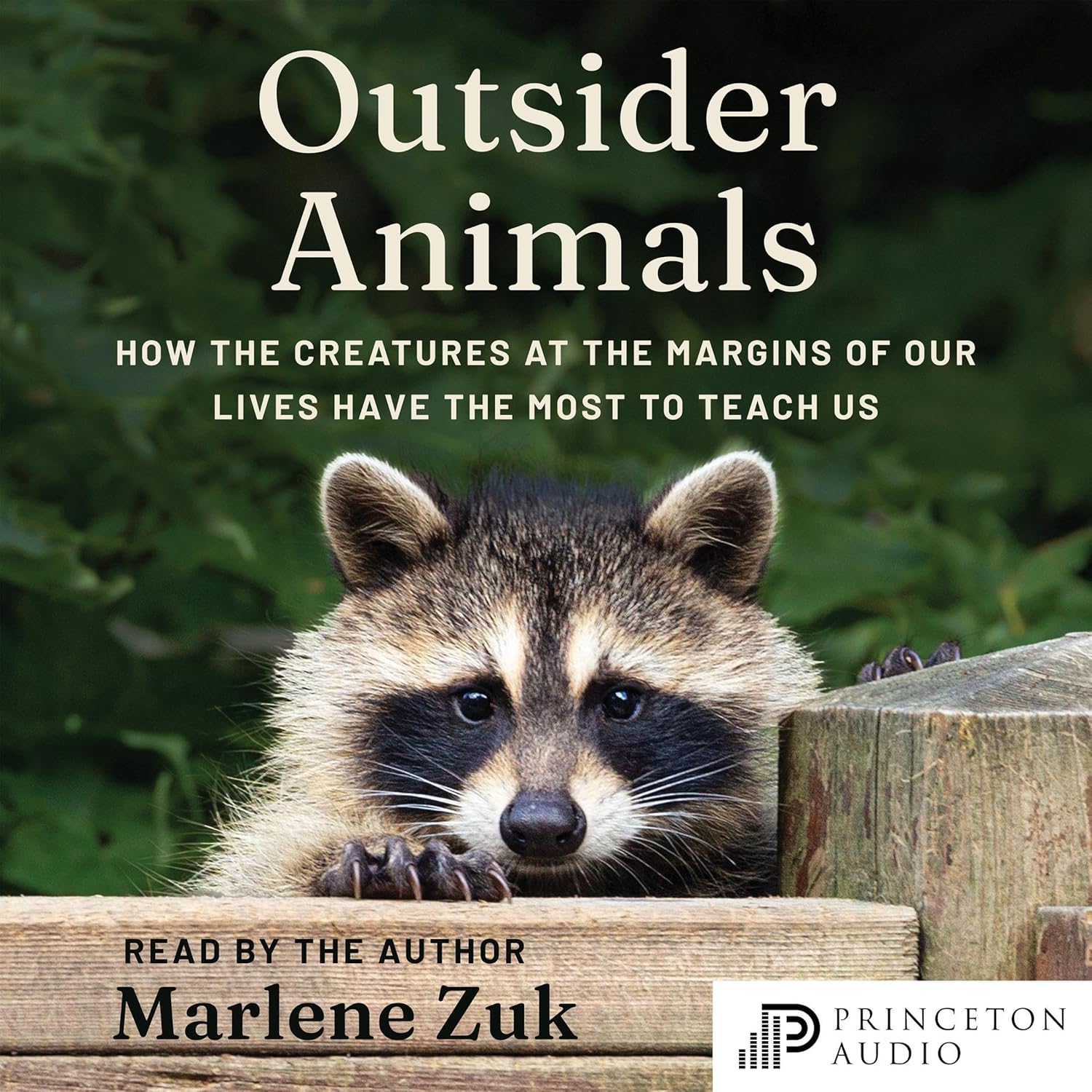 How the Creatures at the Margins of Our Lives Have the Most to Teach Us