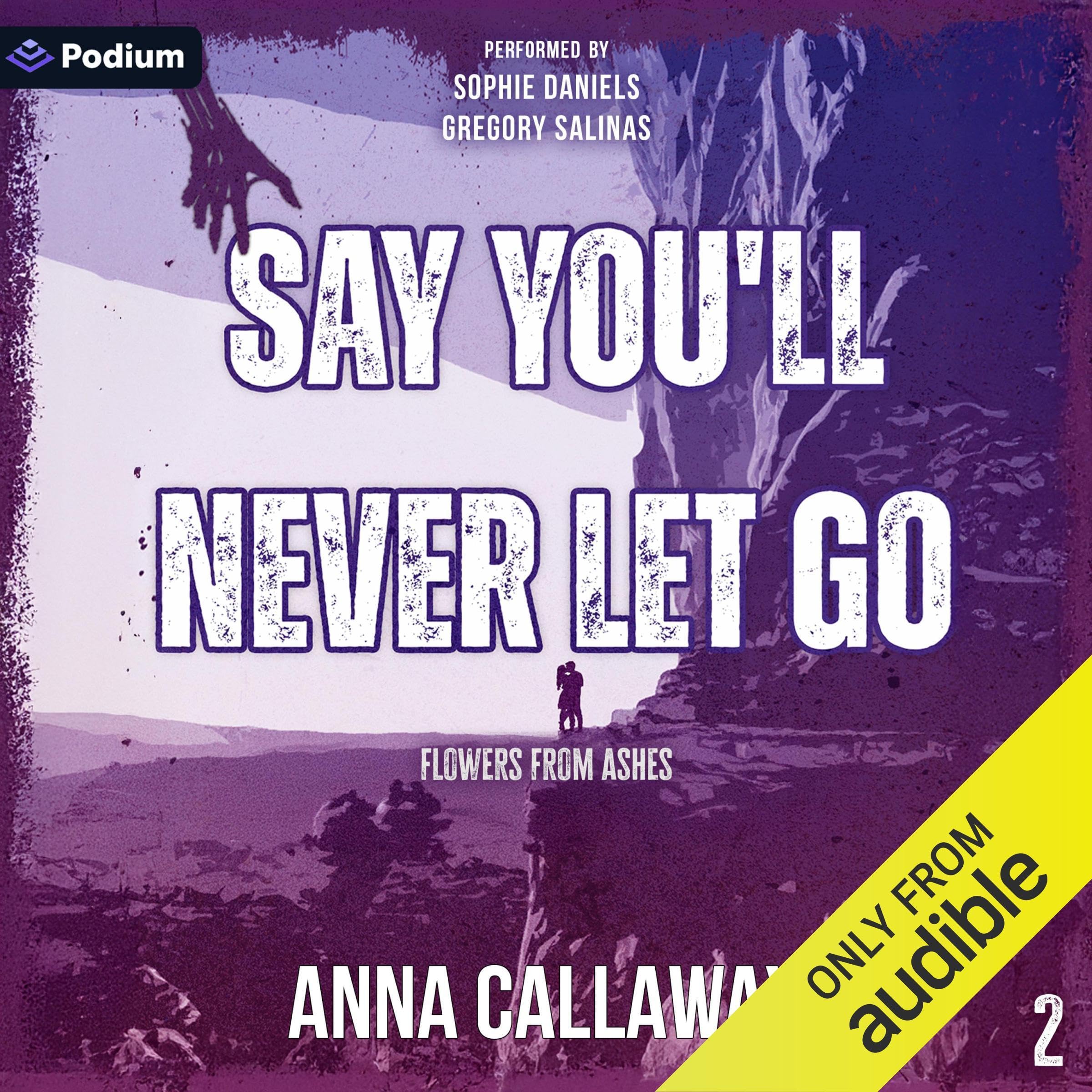 Cover art for Say You'll Never Let Go