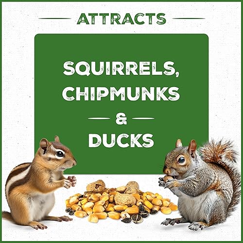 Miniatura 4 de Pennington - Pride Squirrel & Critter - Mezcla de semillas para pájaros silvestres, 10 libras