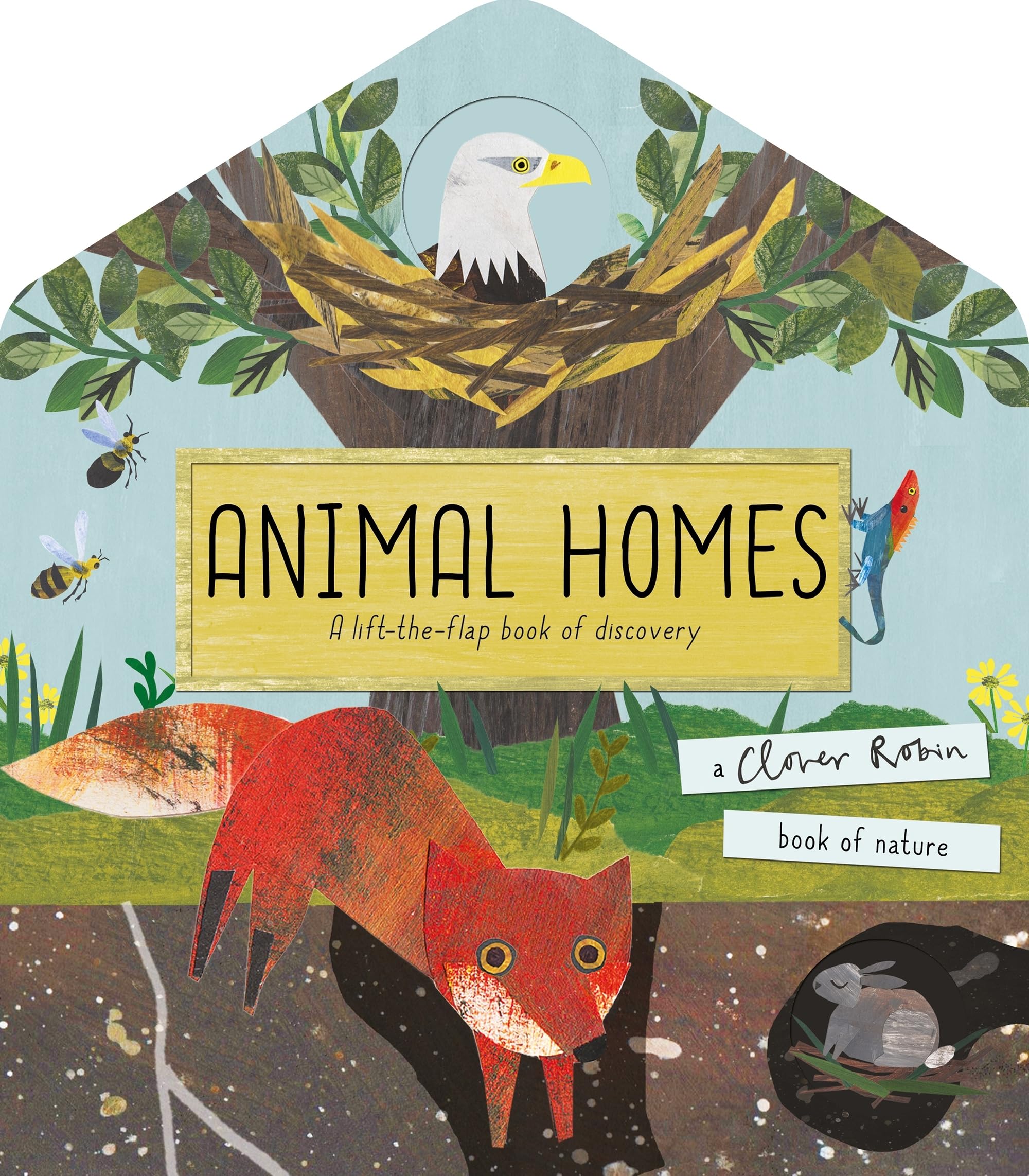 Animal Homes: A lift-the-flap book of discovery (A Clover Robin Book of Natur.