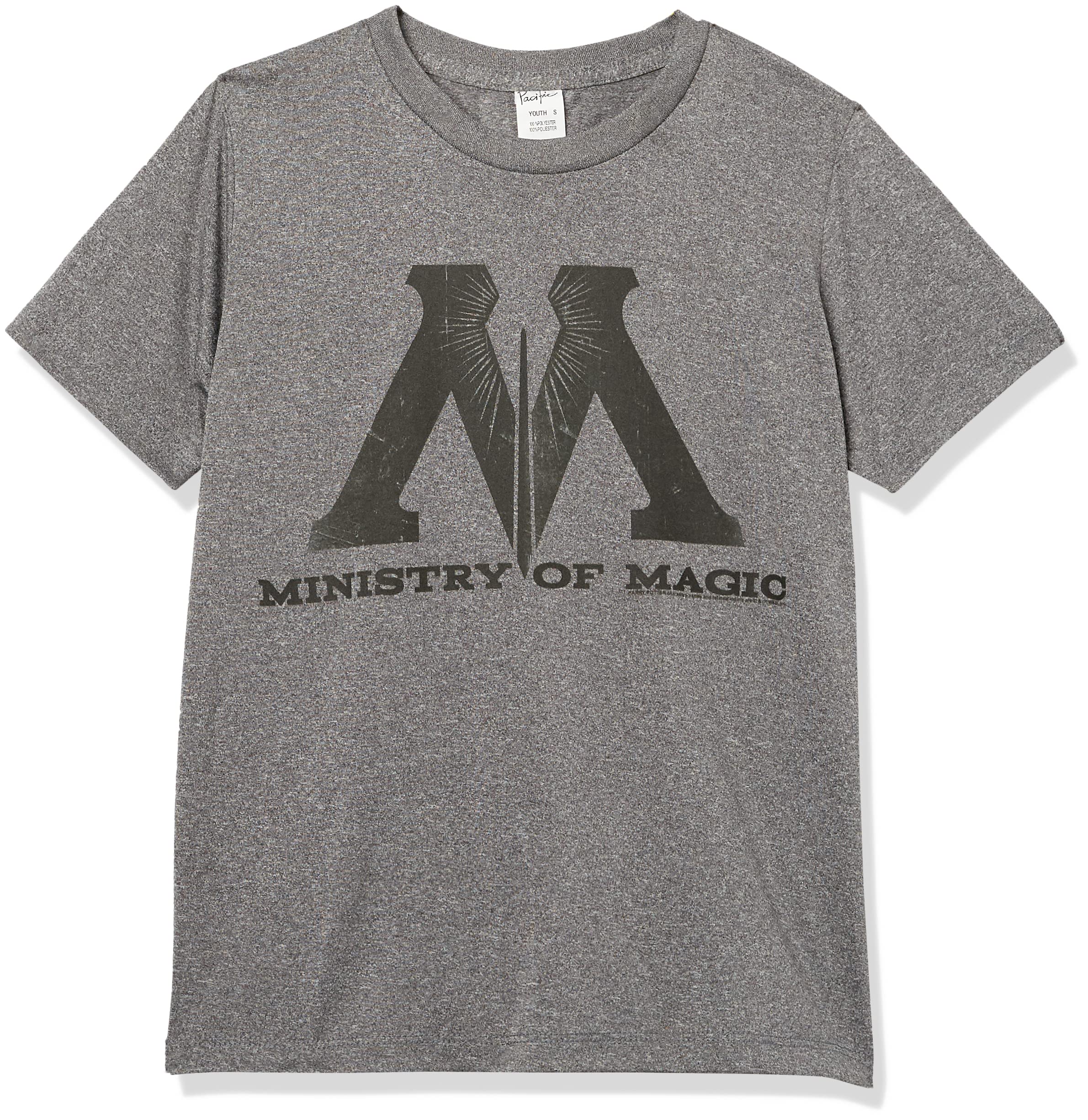 Harry Potter Kids Ministry of Magic Logo Youth Pullover Hoodie