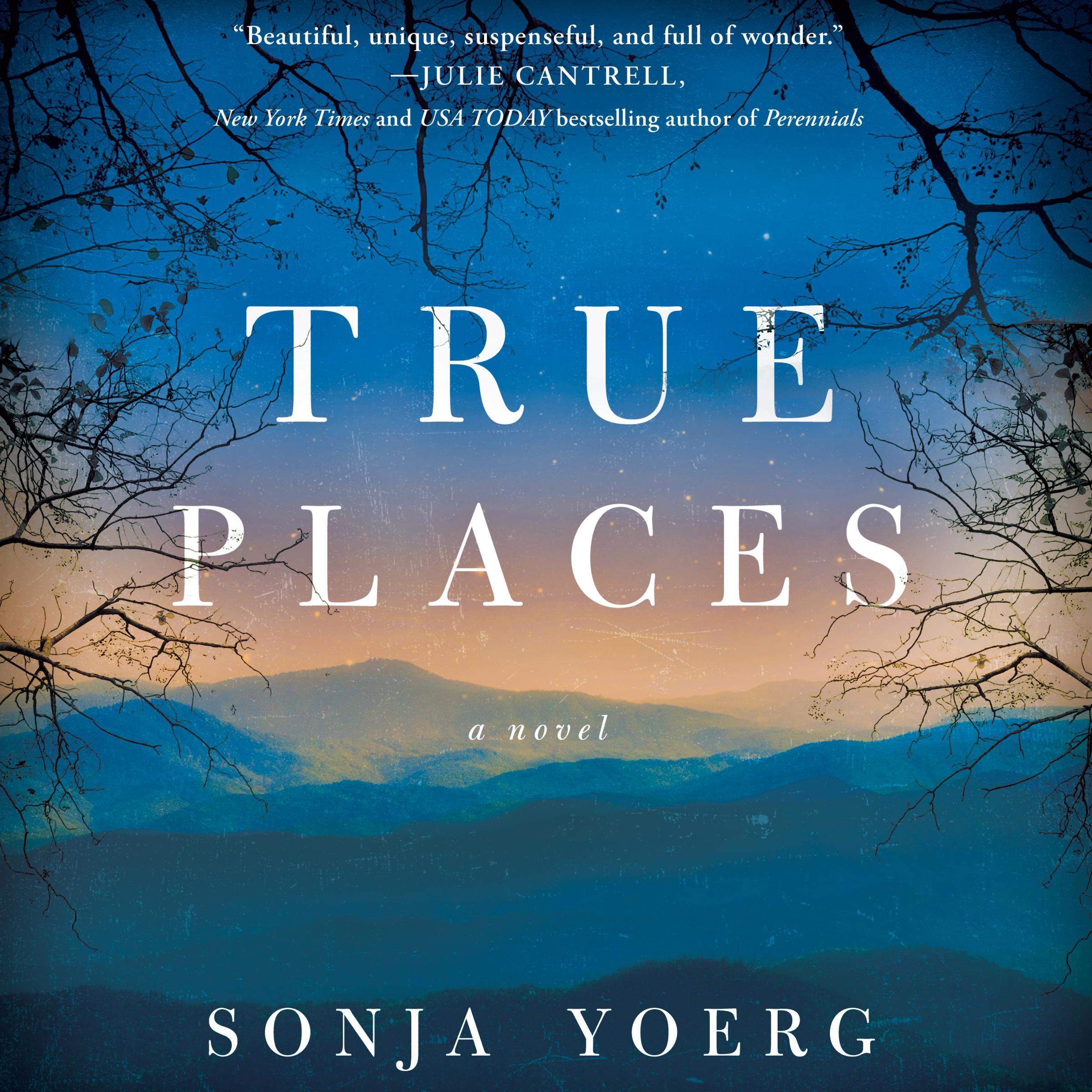 Cover art for True Places