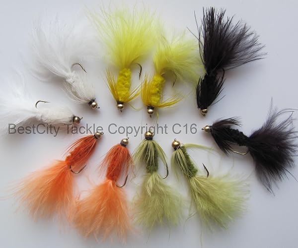 BestCity Lot de 10 mouches de pêche avec hameçons