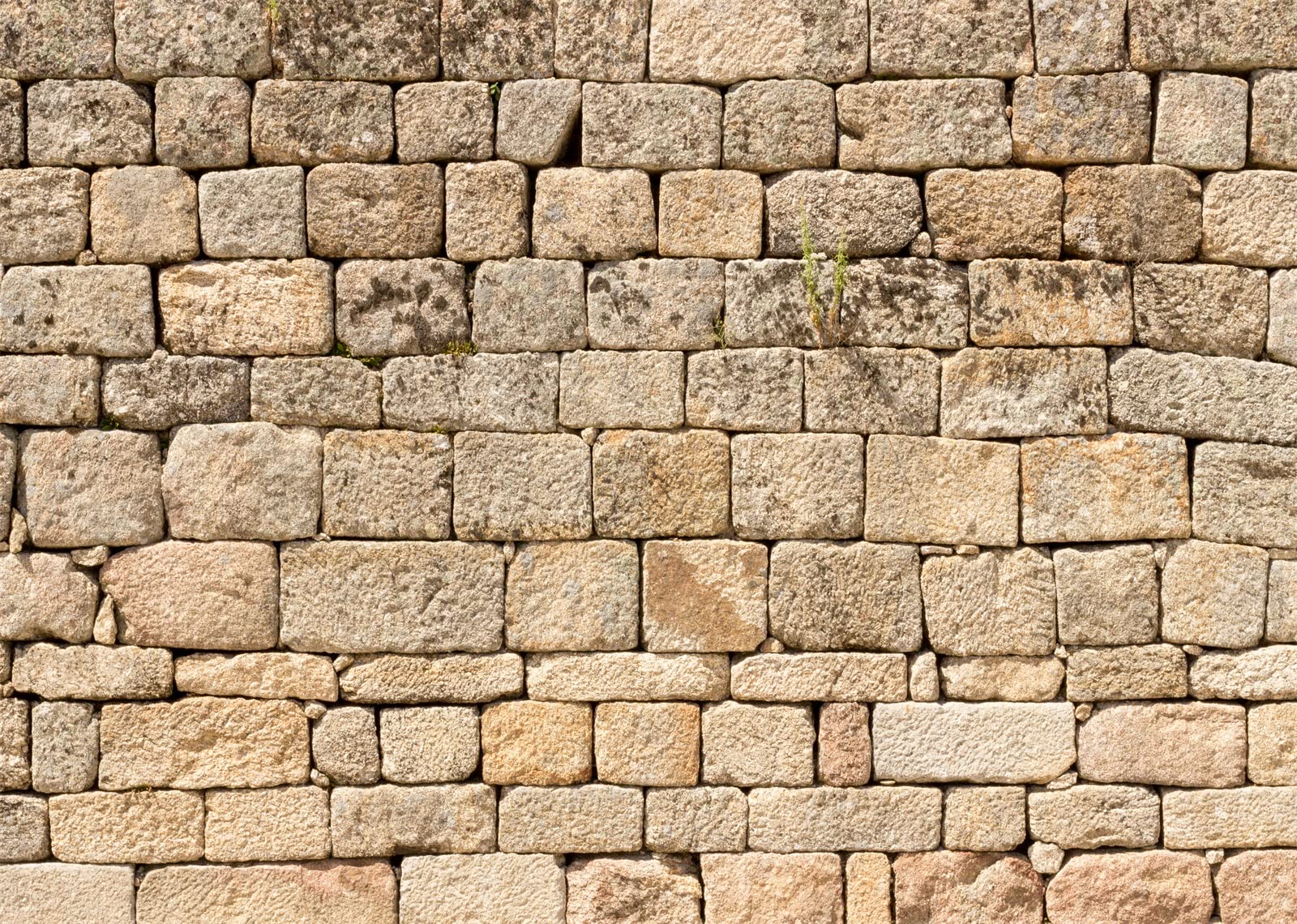 BELECO 3x2m Tissu Rétro Brique Mur De Pierre Fond Photographie Ancien Mur De Roche Texture Brique Pierre Fond D'écran Château Mur De Pierre Décoration De Fête Studio Booth De Photographie