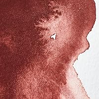 Vista 360 de Winsor & Newton - Pintura para acuarela profesional