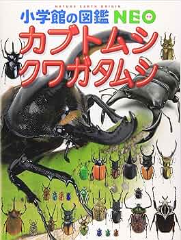 【新品】小学館の図鑑NEO 4冊(昆虫・カブトムシ・クワガタ等) カブトムシ・クワガタムシ (小学館の図鑑NEO) | 新開 孝, 筒井