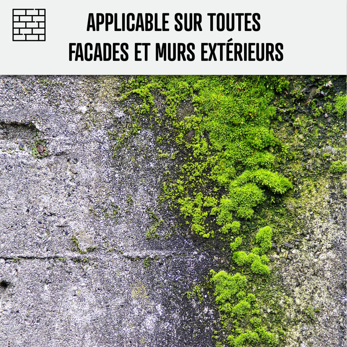 Anti Mousse Façade Ultra Concentré - Nettoyant Mur Extérieur et Crépi - Élimine Mousses et Verdissures - Traitement Curatif et Préventif - 1 L (jusqu'à 250 m²) - ARCANE INDUSTRIES