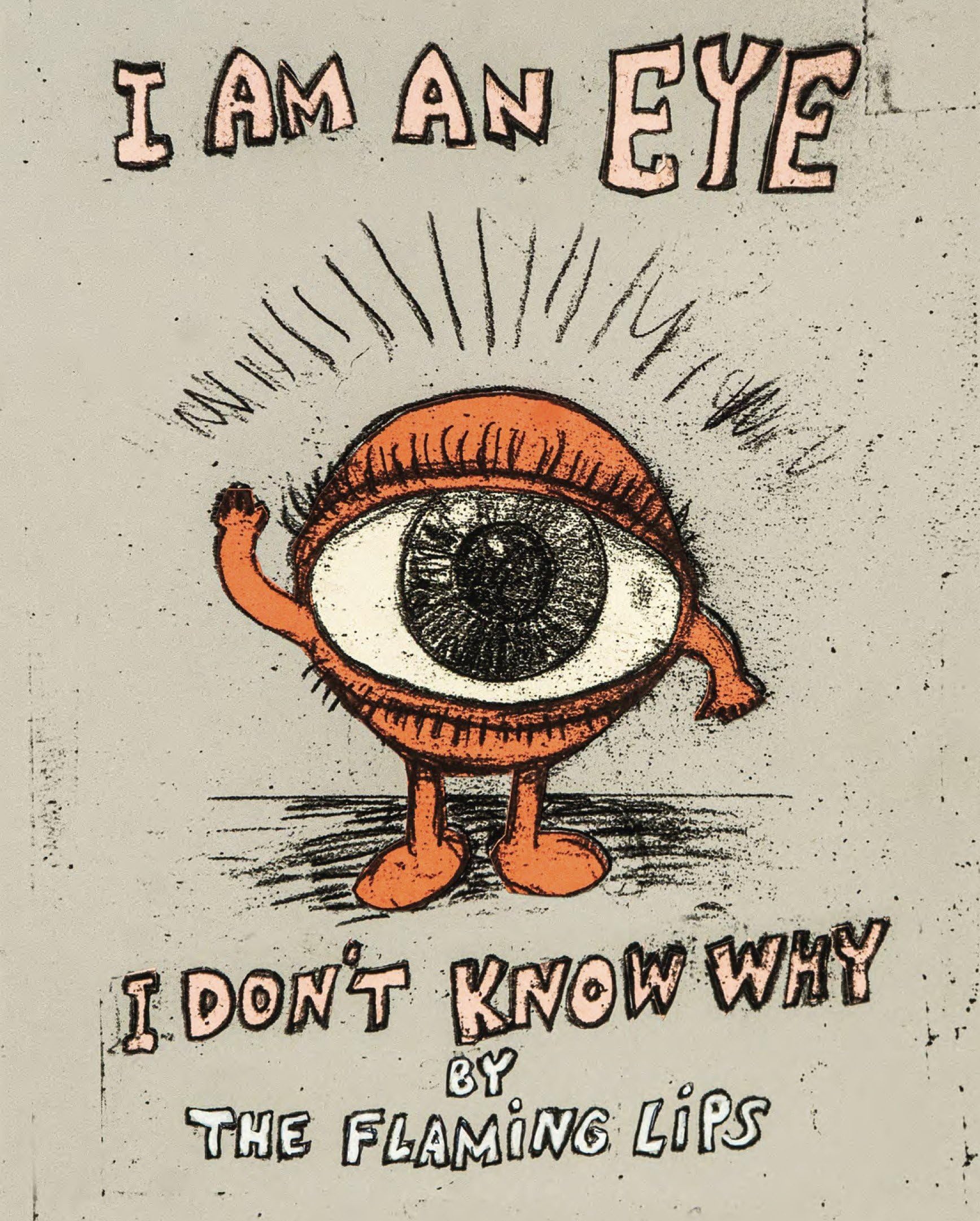 I Am an Eye I Don't Know Why