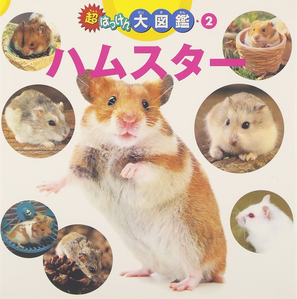 ハムスタ- (超はっけん大図鑑 2) |本 | 通販 | Amazon