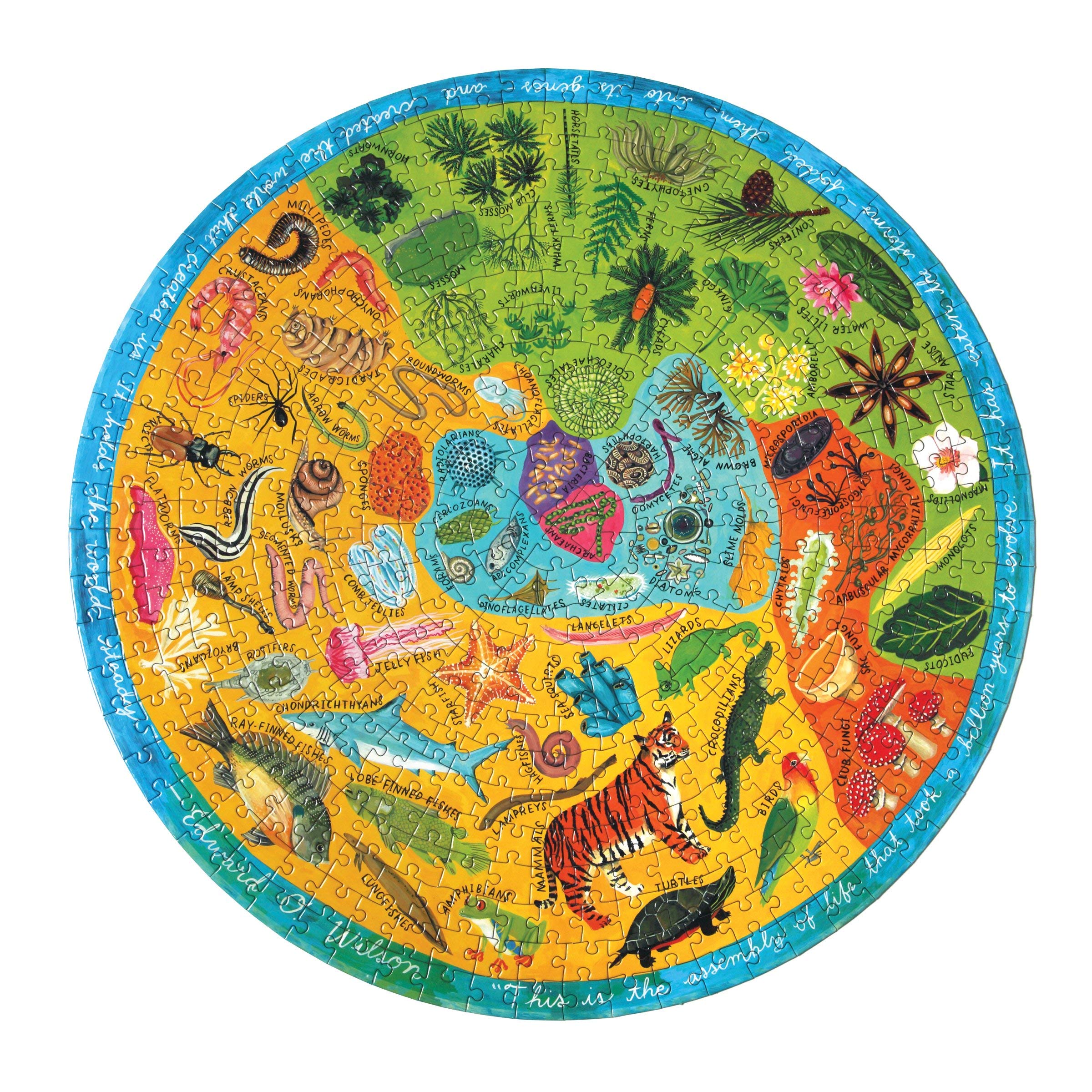 eeBoo 500 Piece Puzzle - Biodiversity Jigsaw Puzzle for Adults, Circular with 23" Diameter Made with Recycled Board & Vegetable-Based Ink