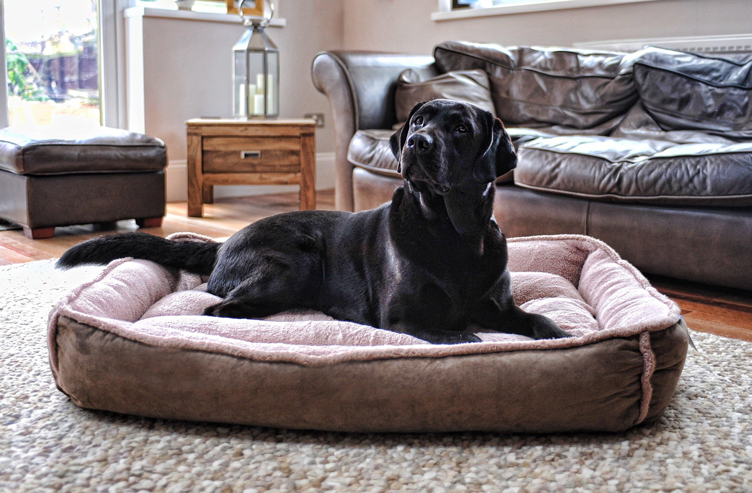 Large Padded Luxury Fleece Dog Bed by Wolfybeds in Cookie Dough Brown (91.5cm x 61cm / 36" x 24") machine washable covers, more colours available