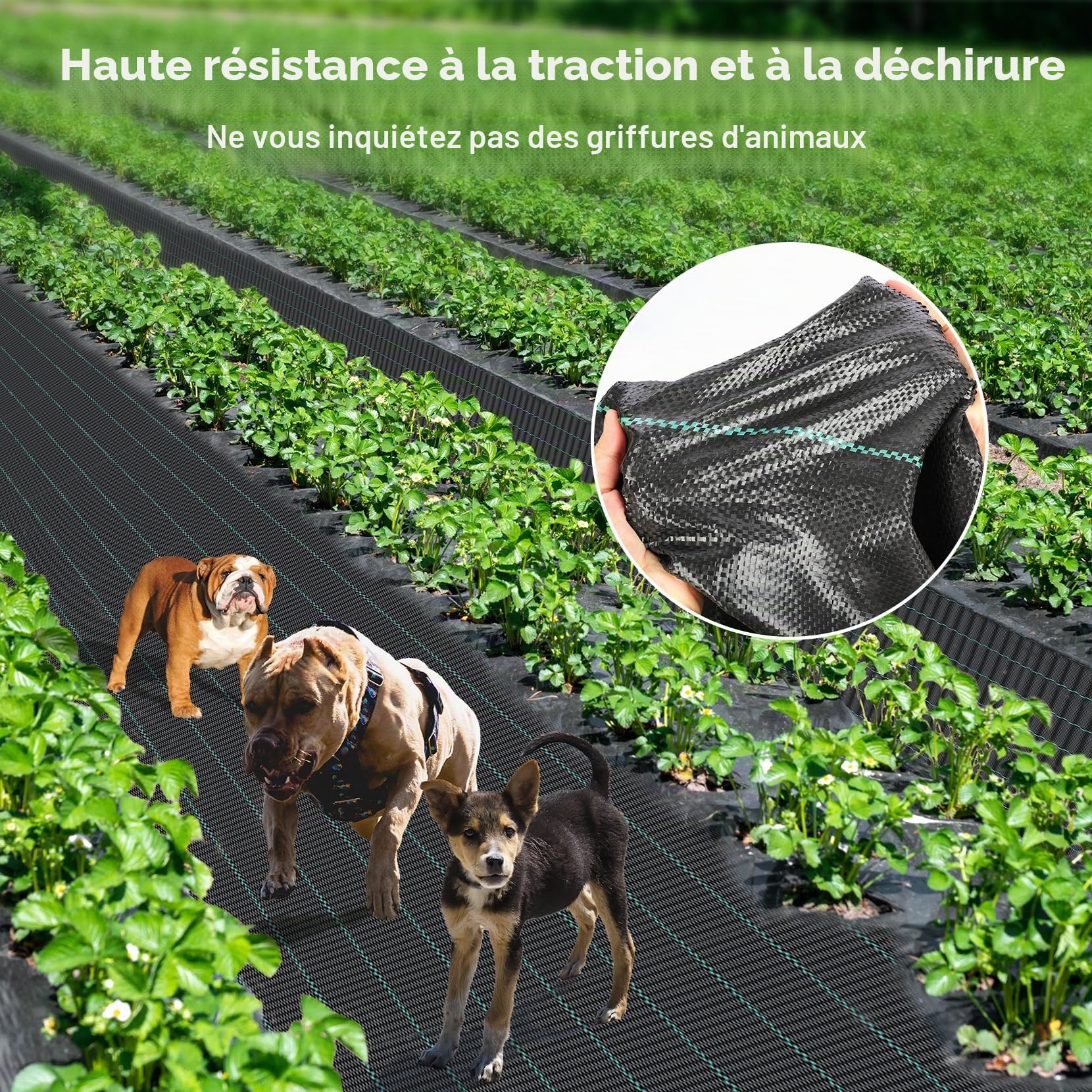 iropro - Barrière tissée robuste, contre les mauvaises herbes, pour aménagement paysager et pour le jardin - 1,2 x 91,4 m