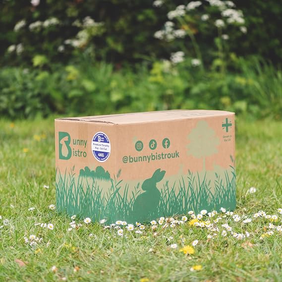 Bunny Bistro Premium Timothy Hay 1st Cut 4kg Box | Natural UK Grown Feeding Hay for Rabbits, Guinea Pigs & Small Animals, High in Fibre, Dental Care, Dust Extracted Bedding, Eco-friendly Packaging