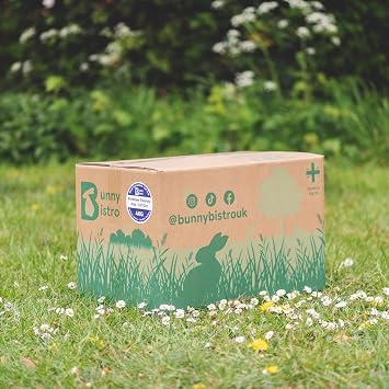 Bunny Bistro Premium Timothy Hay 1st Cut 4kg Box | Natural UK Grown Feeding Hay for Rabbits, Guinea Pigs & Small Animals, High in Fibre, Dental Care, Dust Extracted Bedding, Eco-friendly Packaging