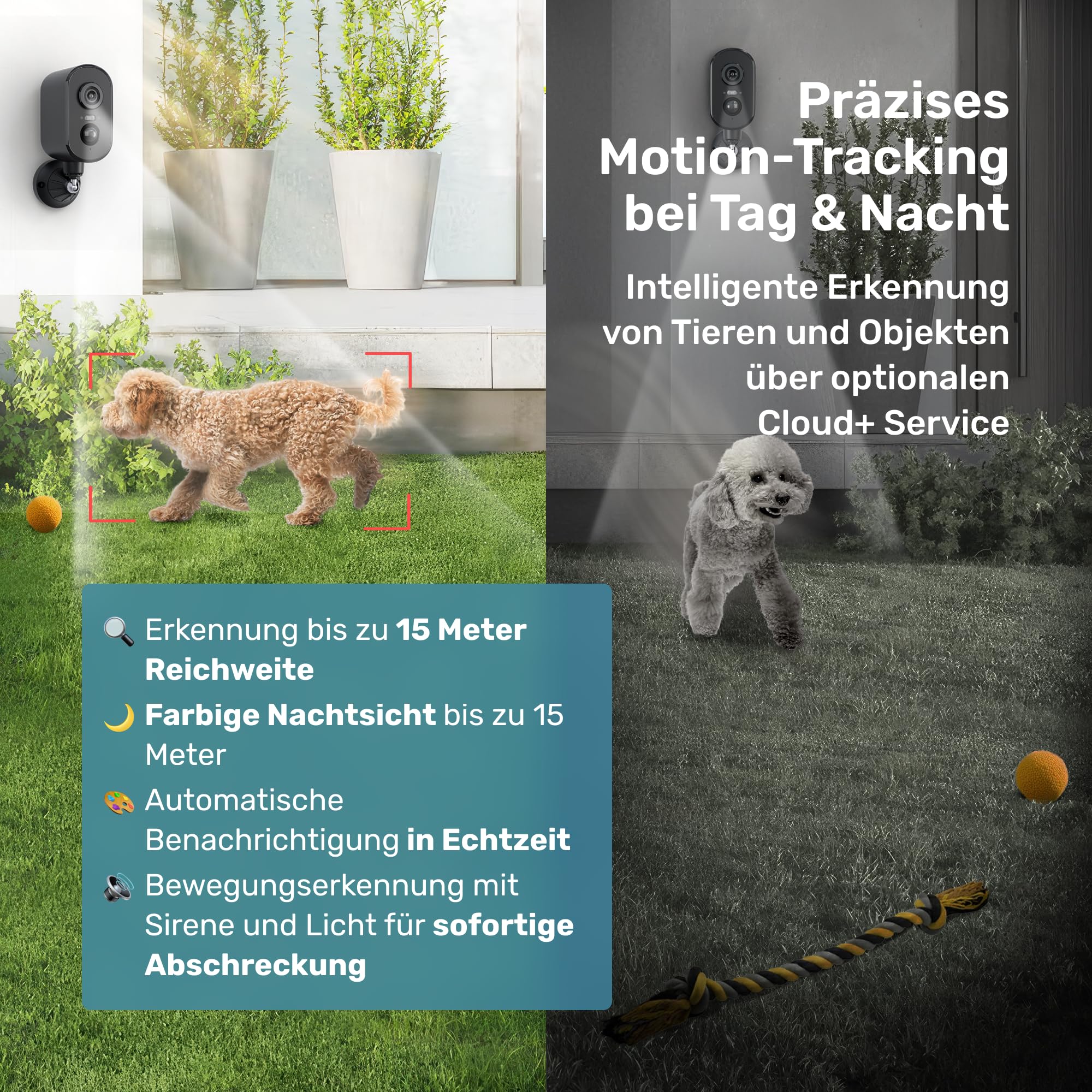 Pet Cam Free 4G - Telecamera per animali domestici
